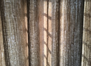 Vertical, textured curtains with light streaming through, creating a pattern of shadows.
