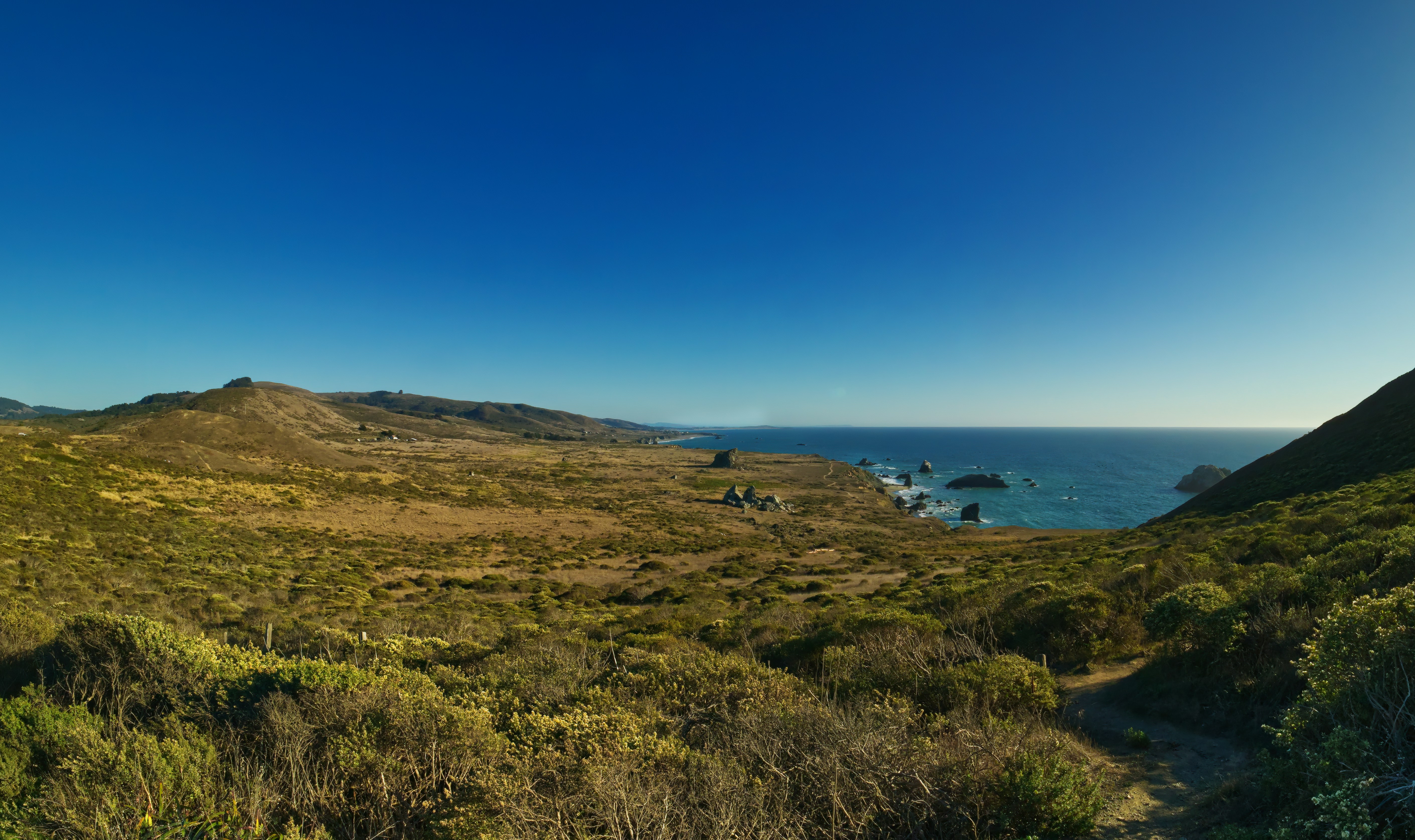 Photo by bullterriere