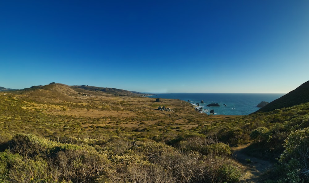 a scenic view of the ocean from a hill