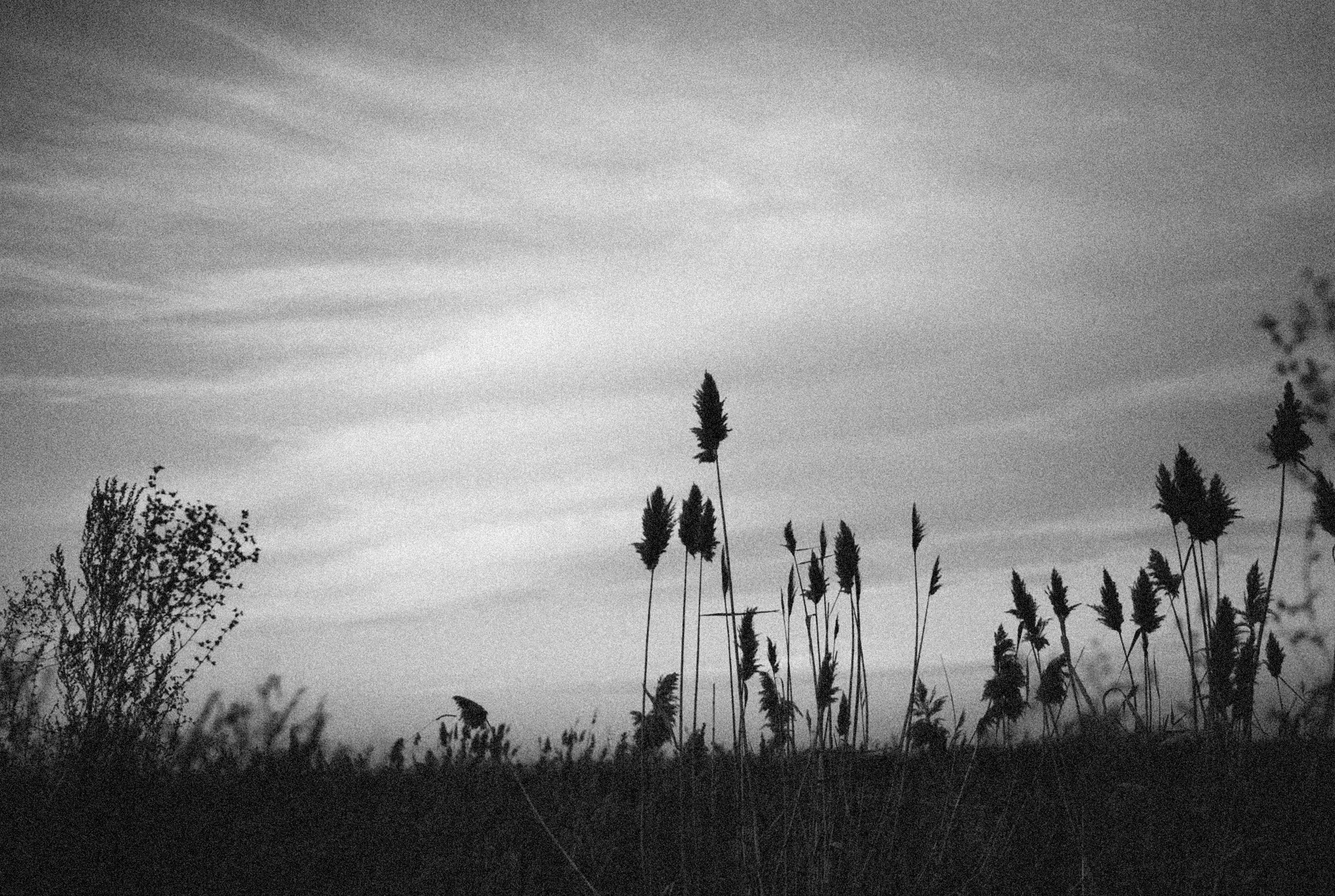 Photo by alexeydemidov