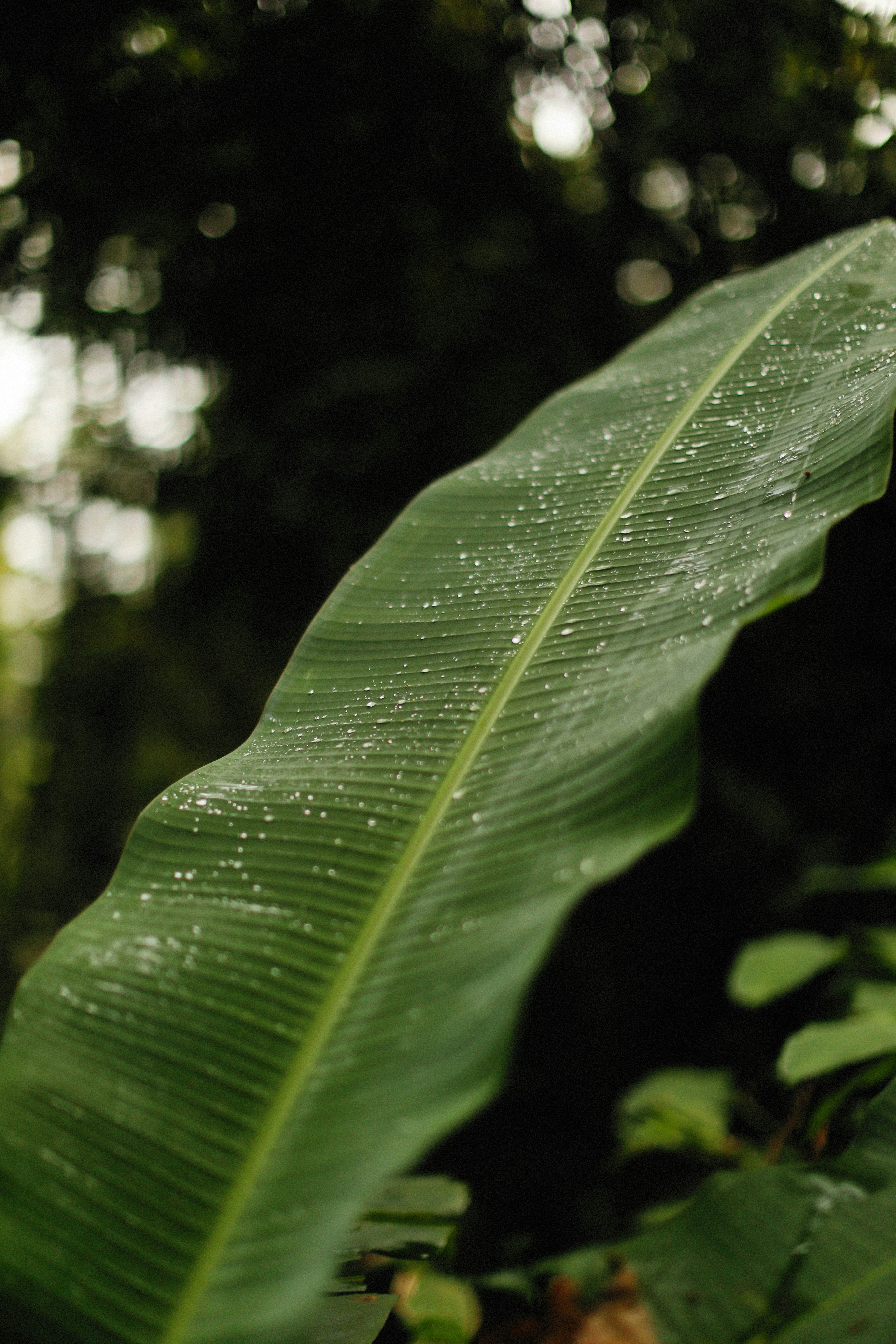 Photo by alexeydemidov