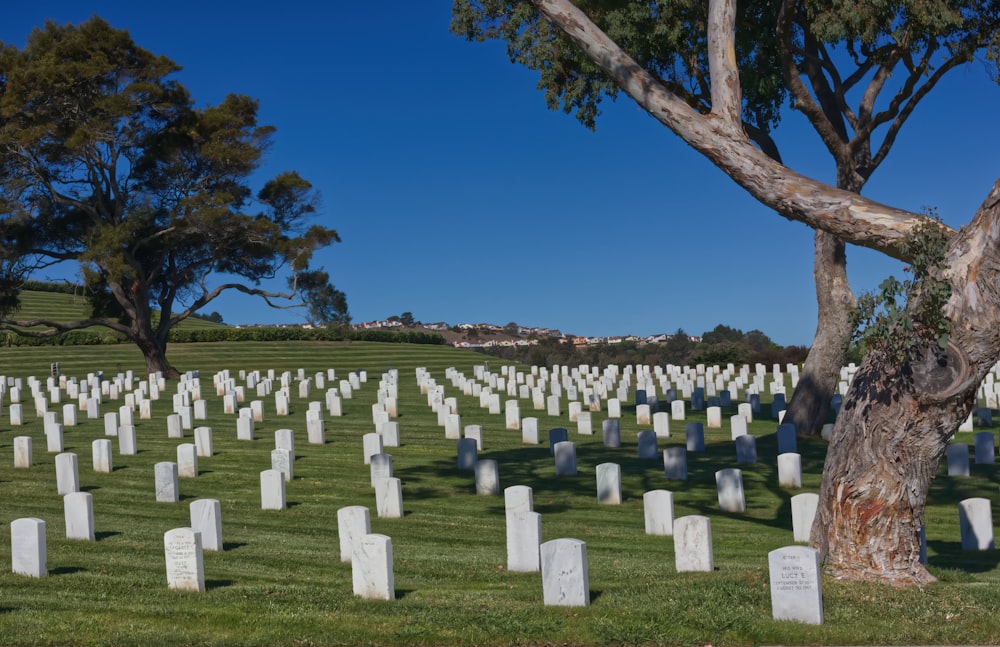 a cemetery with many headstones and trees