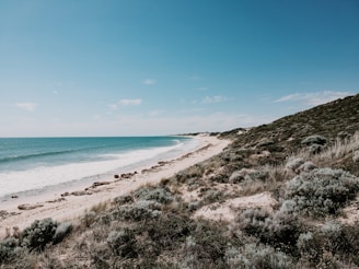 A vibrant coastal landscape with waves gently lapping the shore.