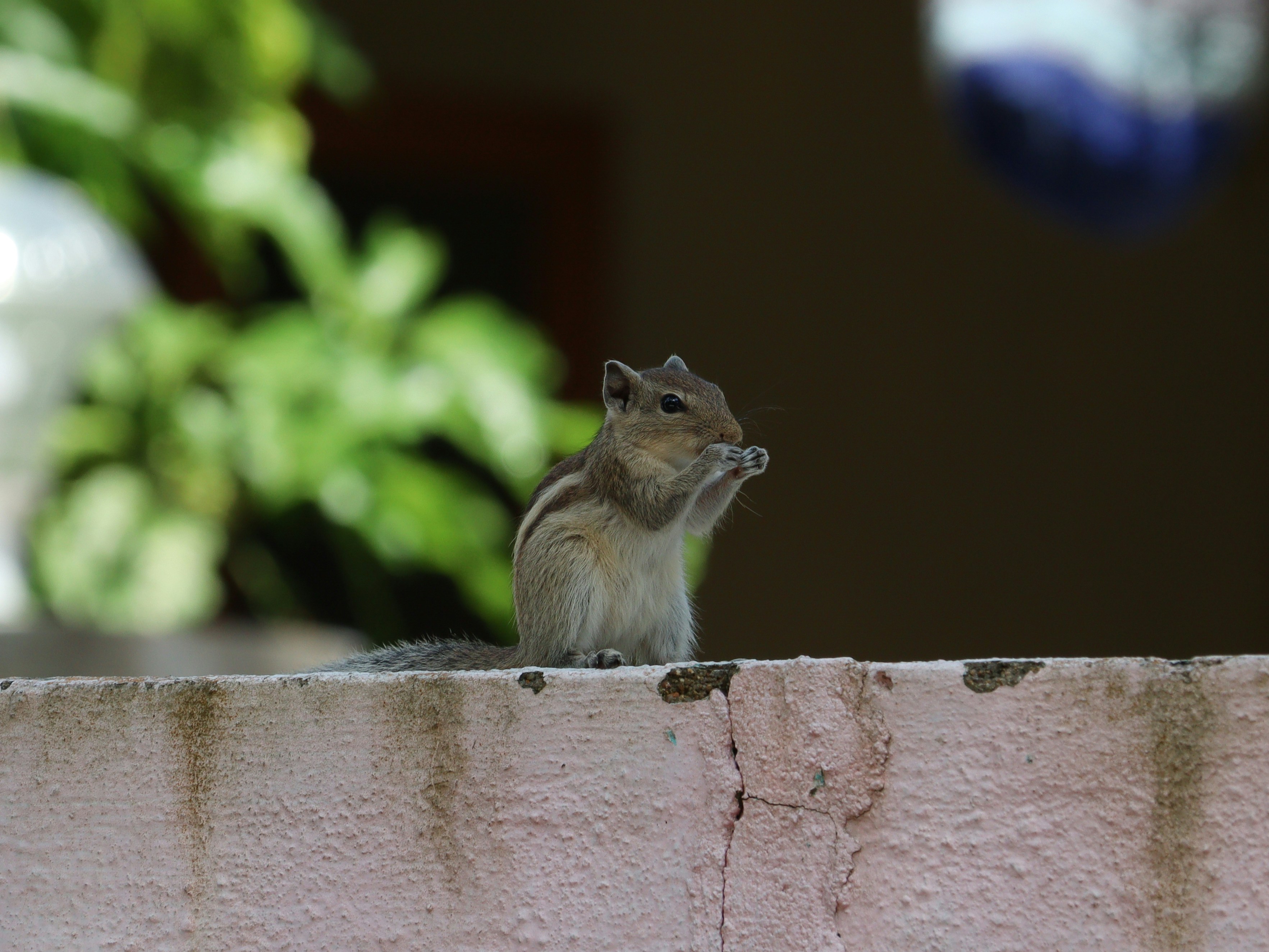 Photo by mariyan_rajesh