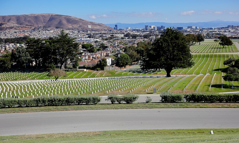 une vue d’un cimetière avec une colline en arrière-plan