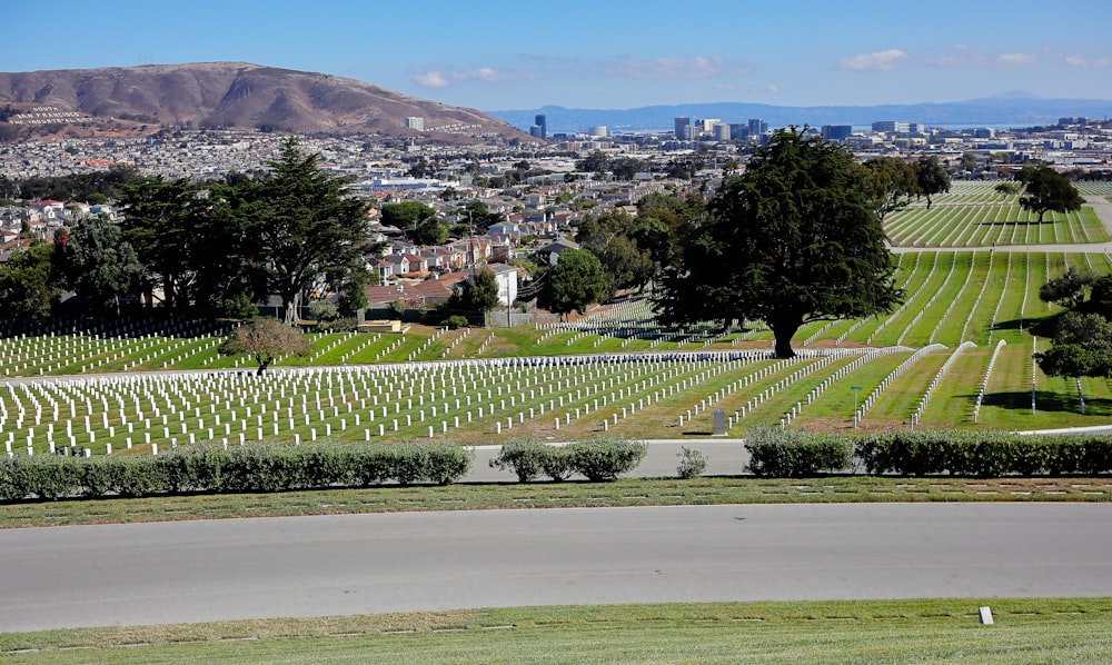 a view of a cemetery with a hill in the background