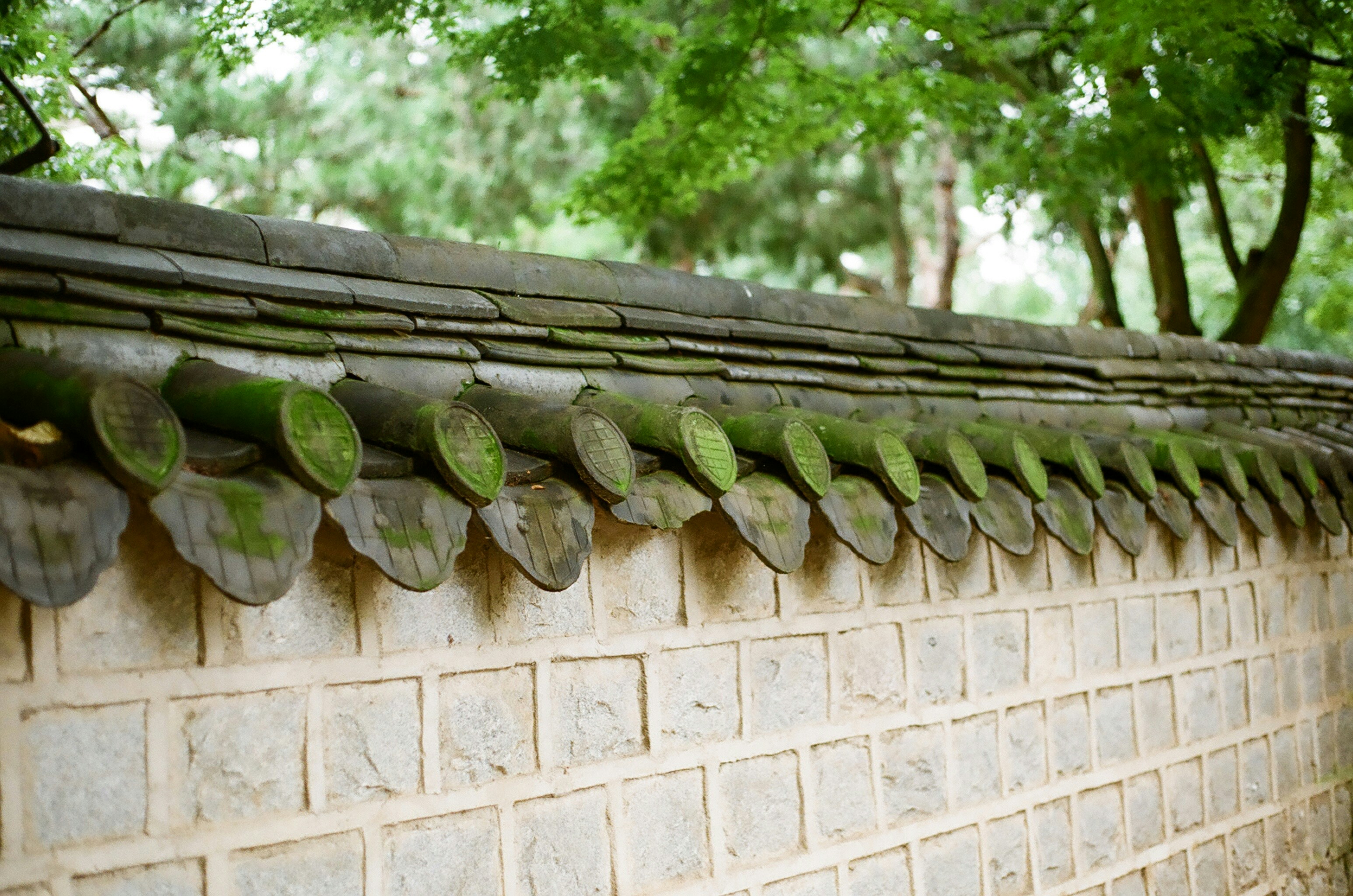 Jeonju, Korea, Aug, 2020