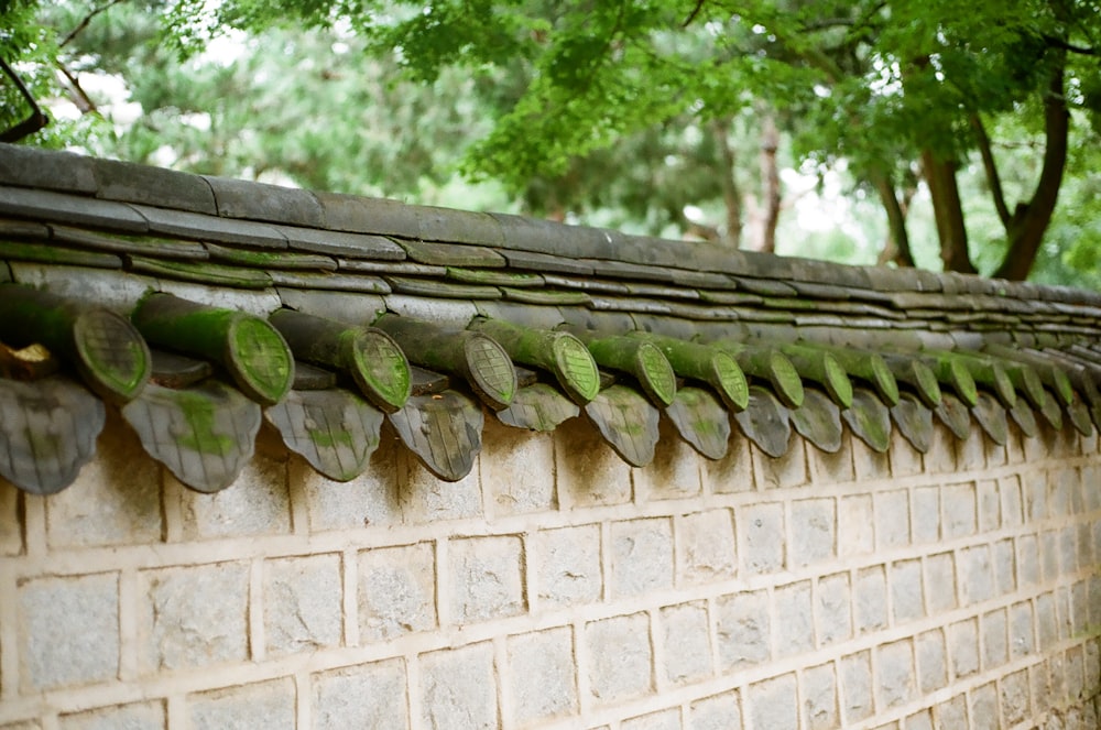 un muro di mattoni con foglie verdi su di esso