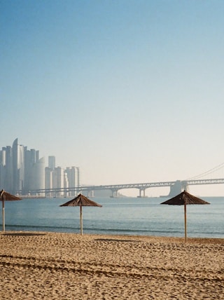 a beach with umbrellas and a bridge in the background