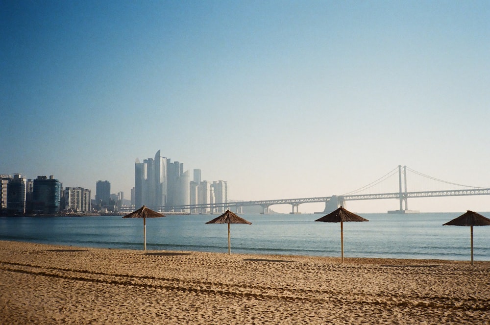 a beach with umbrellas and a bridge in the background