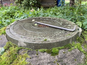 A round concrete manhole cover with circular grooves is placed on a moss-covered surface. It is surrounded by overgrown vegetation, and a metal crowbar rests on top of the cover.