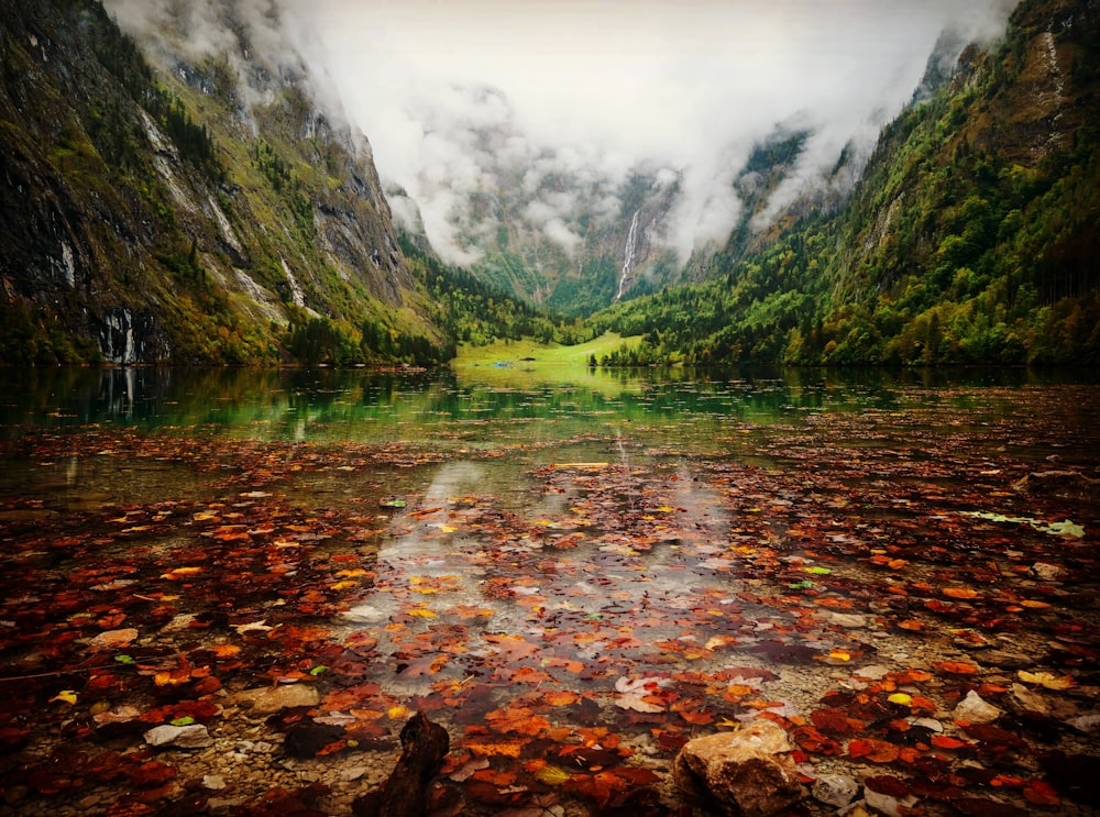 a lake surrounded by mountains and trees with leaves on the ground