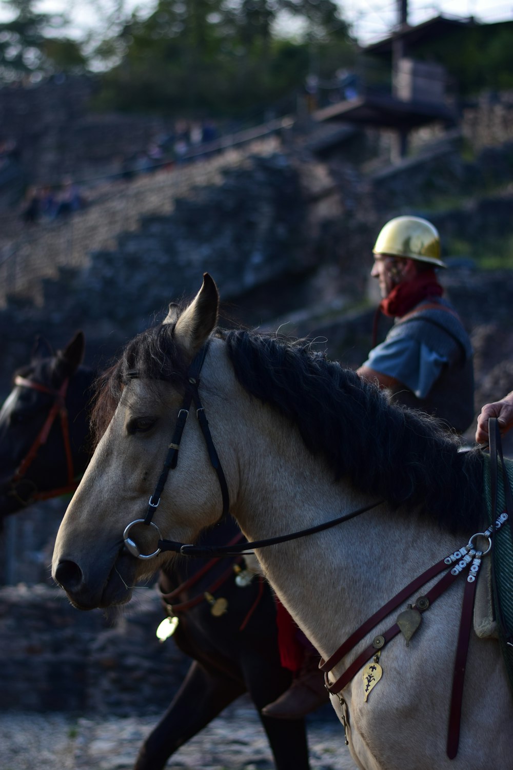 a couple of men riding on the backs of horses