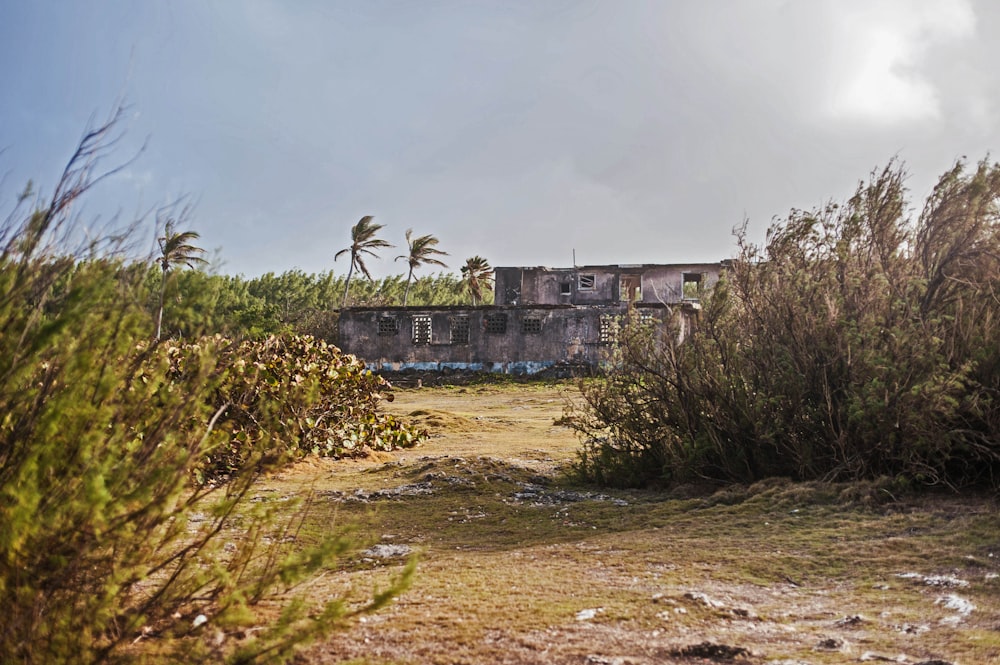 an abandoned building surrounded by trees and bushes