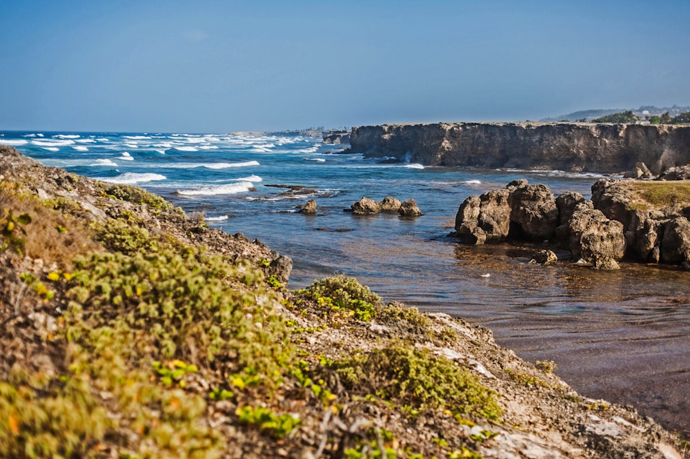 a body of water surrounded by rocks and grass