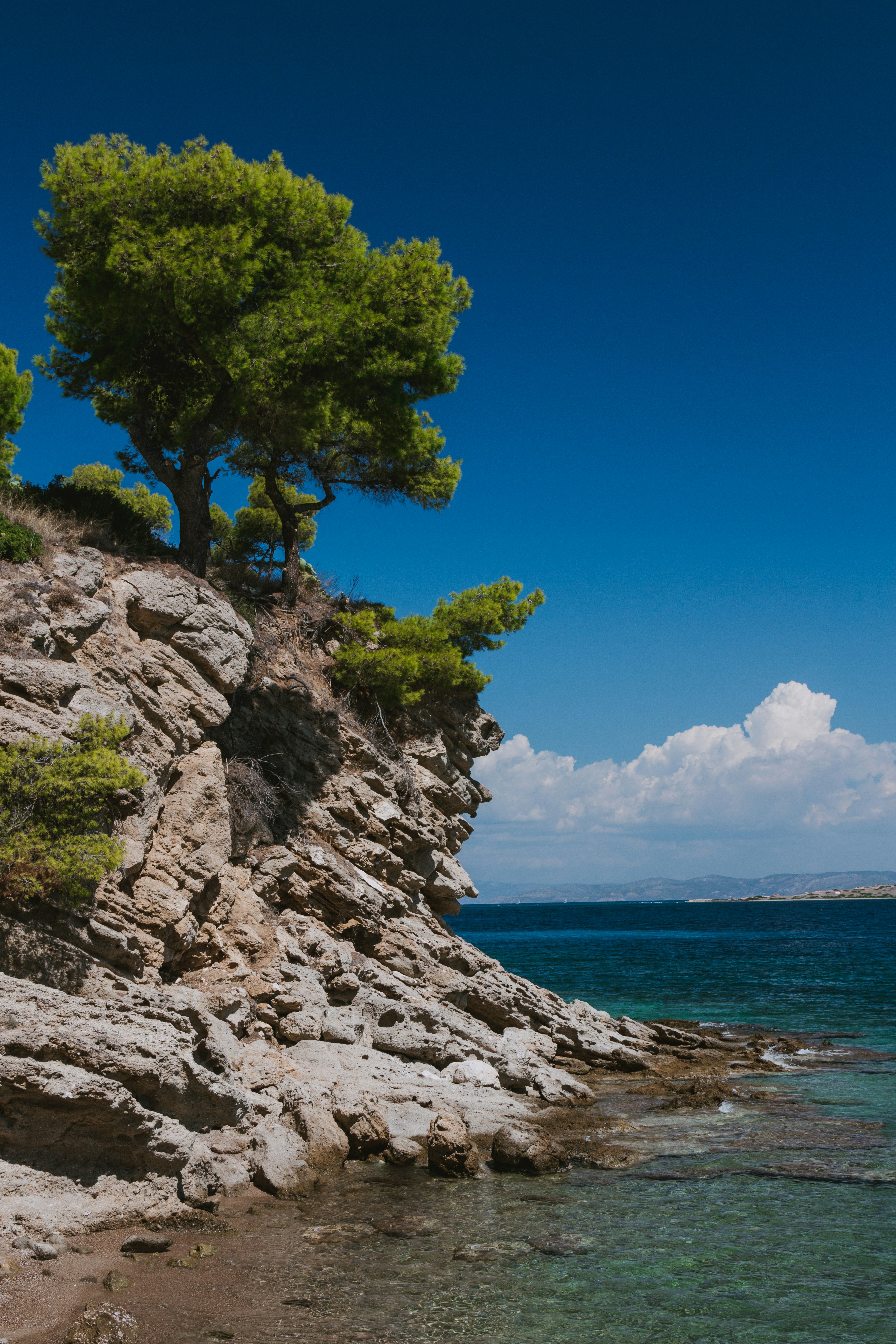 Photo by luca_nicoletti