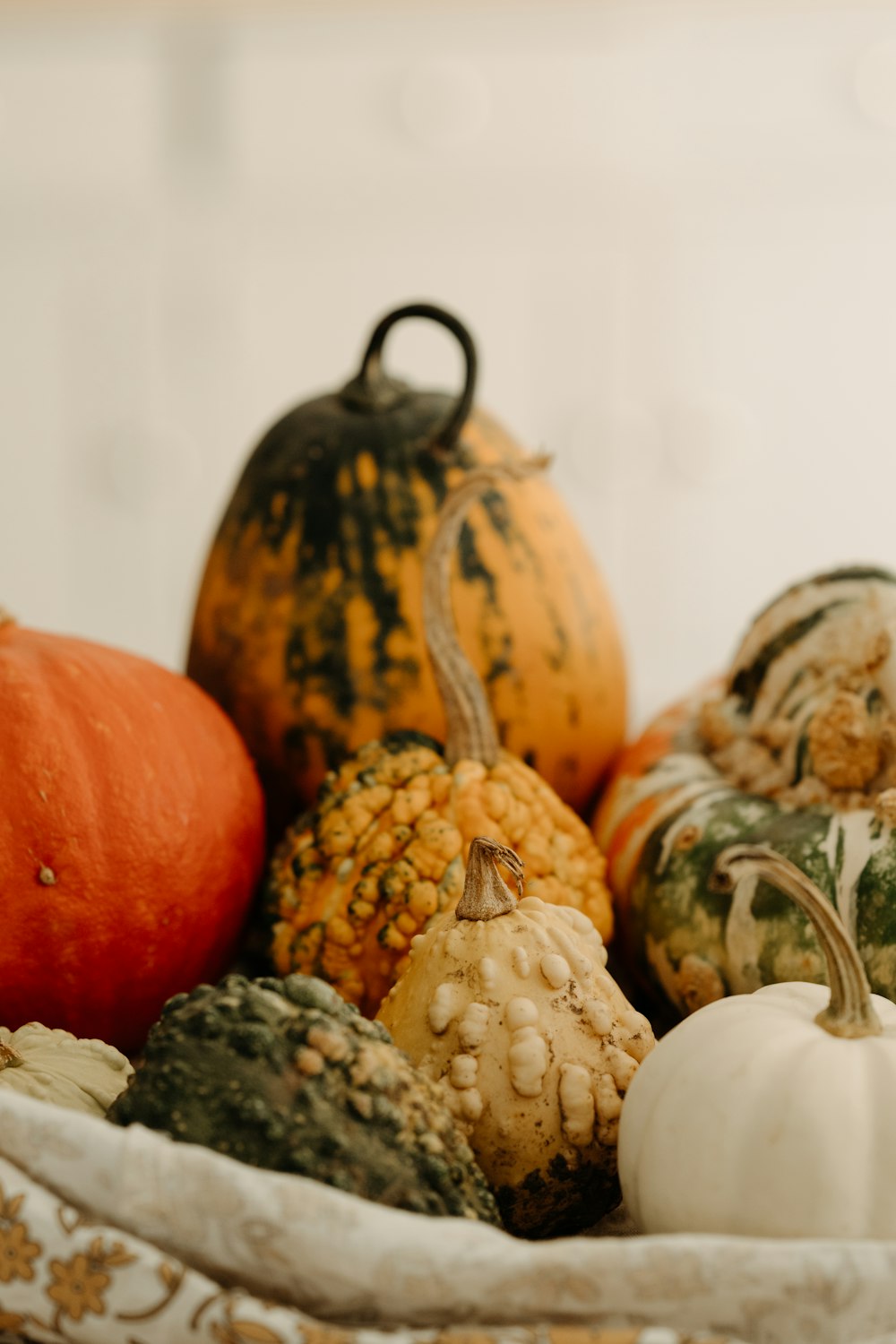 a group of fruit and vegetables on display