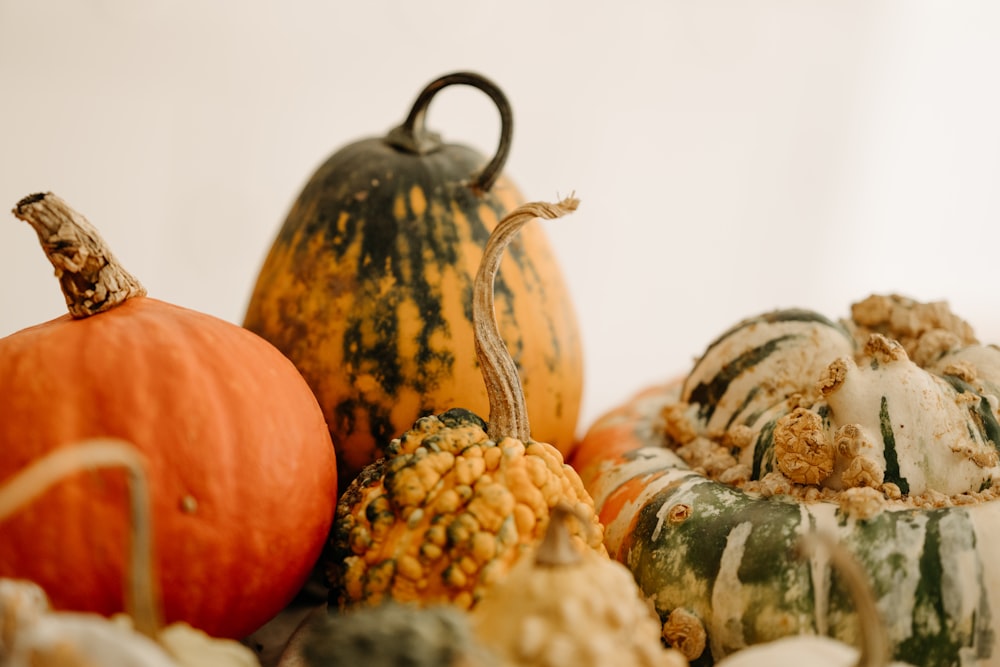 a table topped with lots of different types of pumpkins