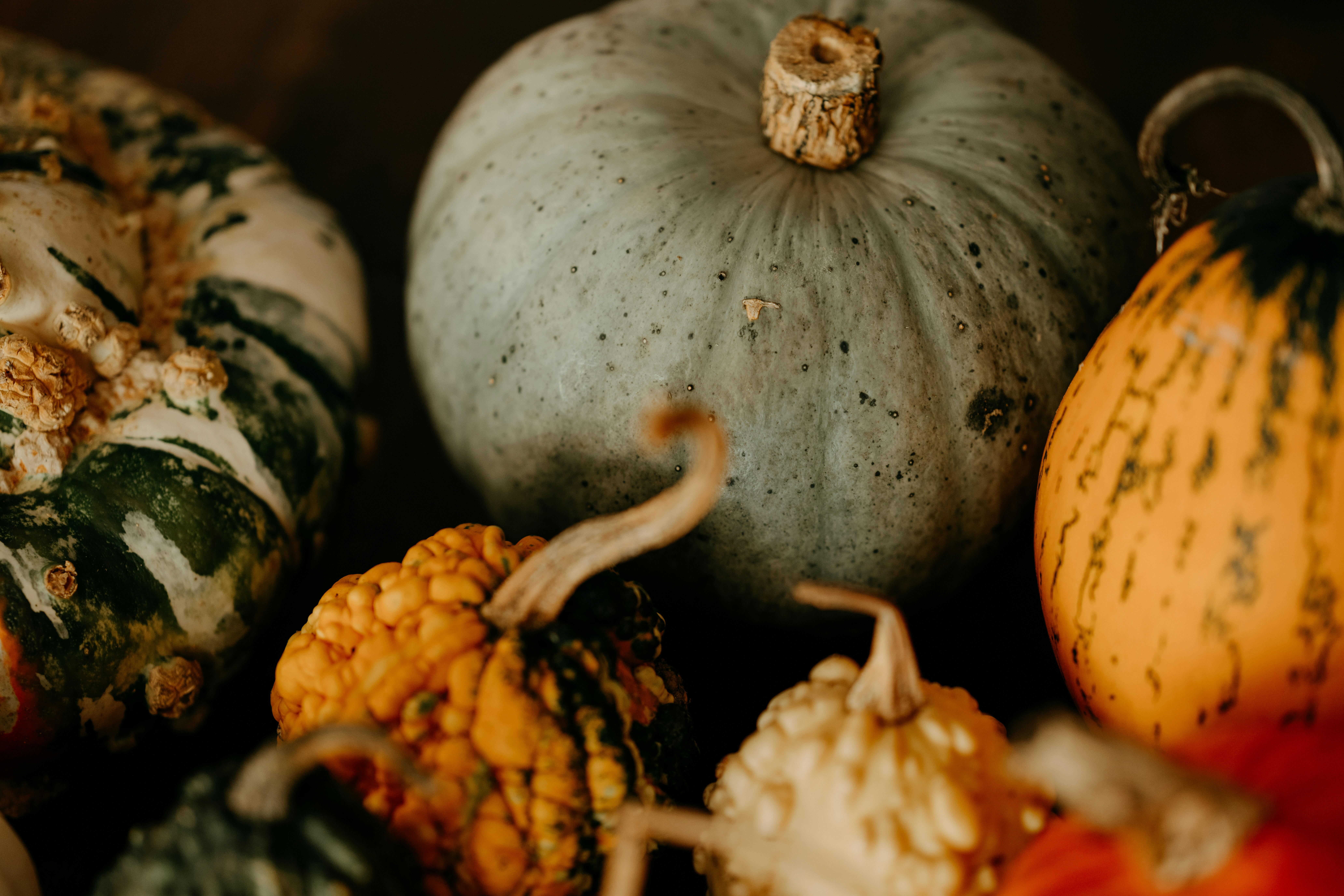 Photo by anniespratt