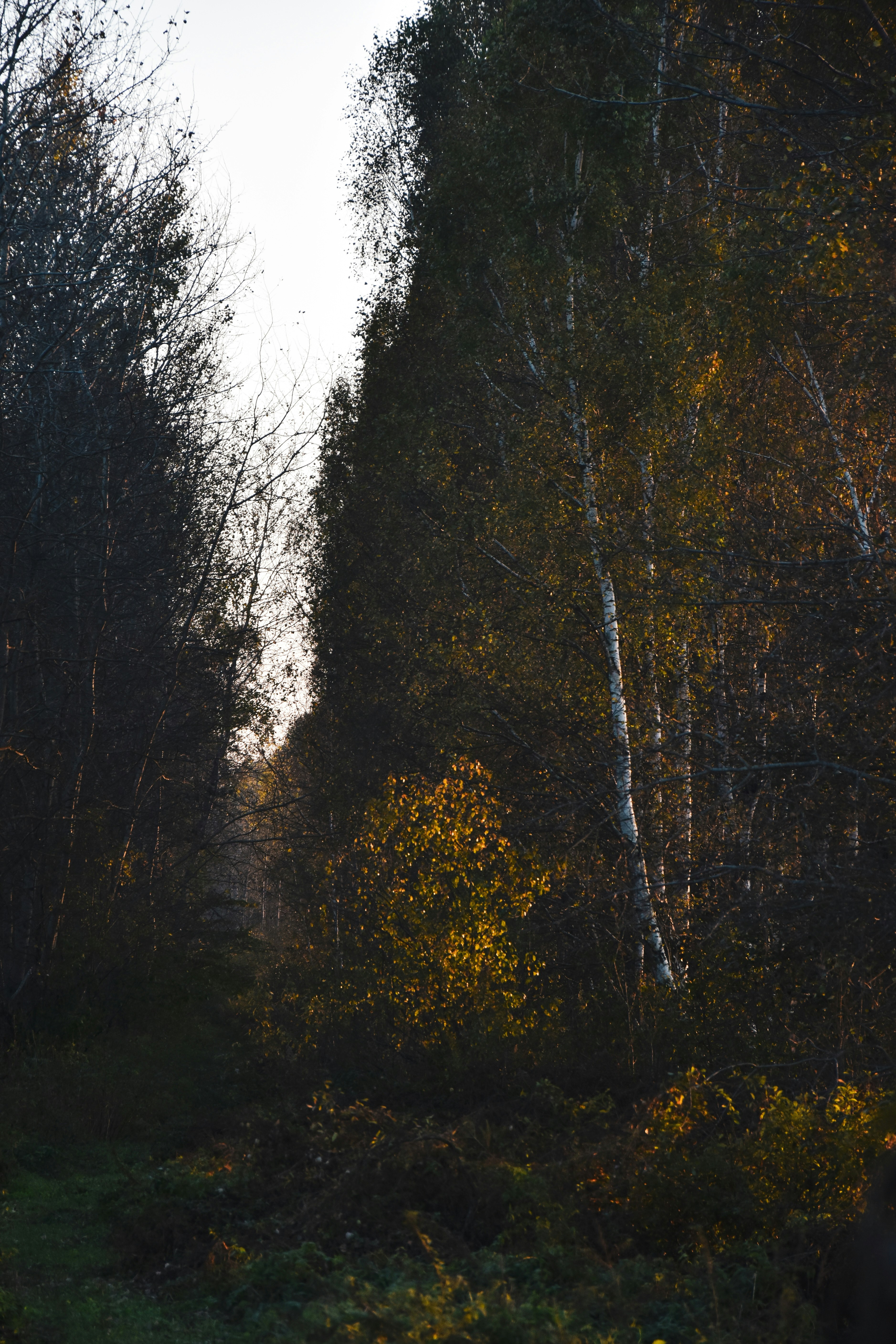 Photo by artem_makarov