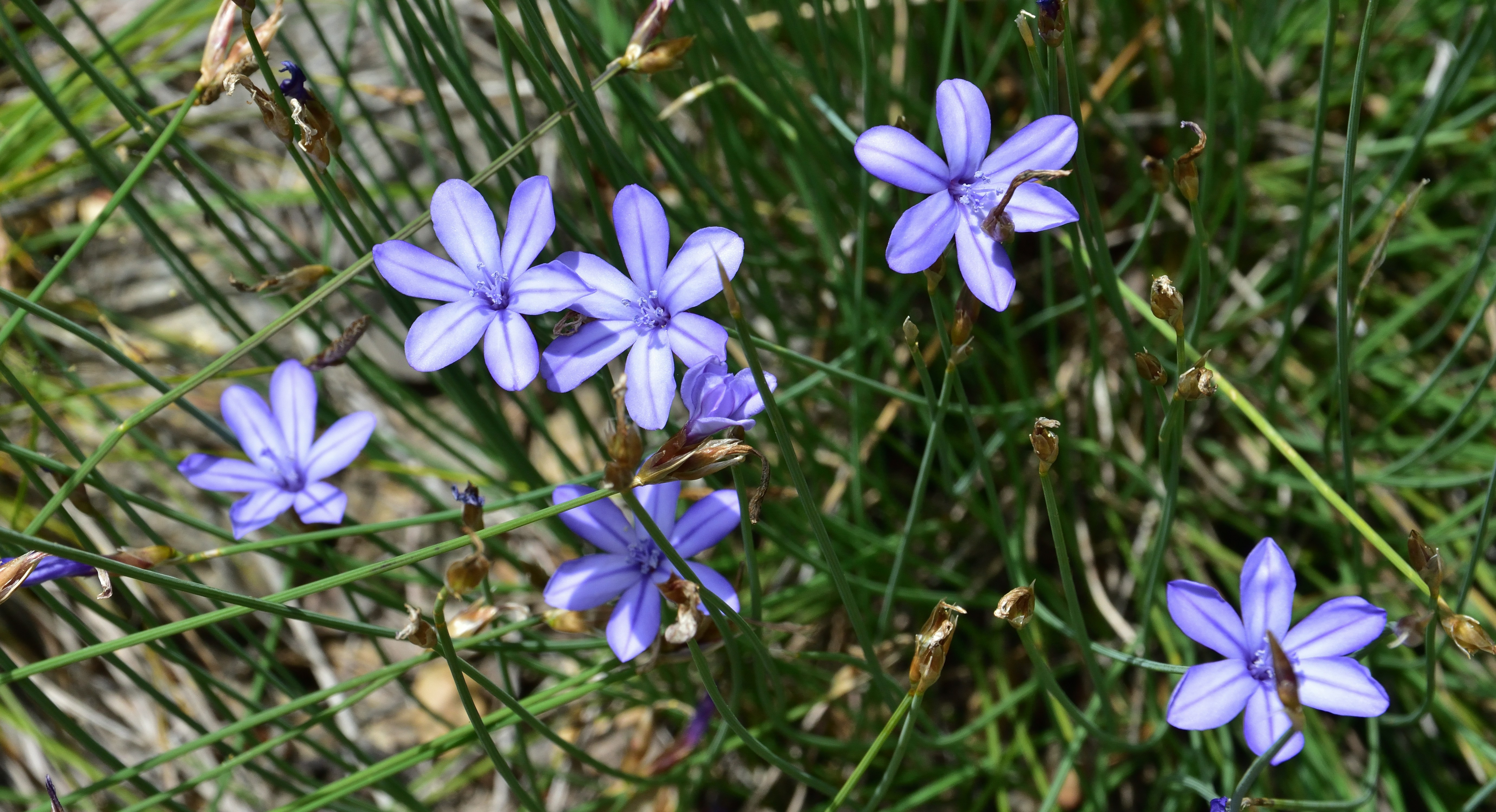 Photo by bertrand1212