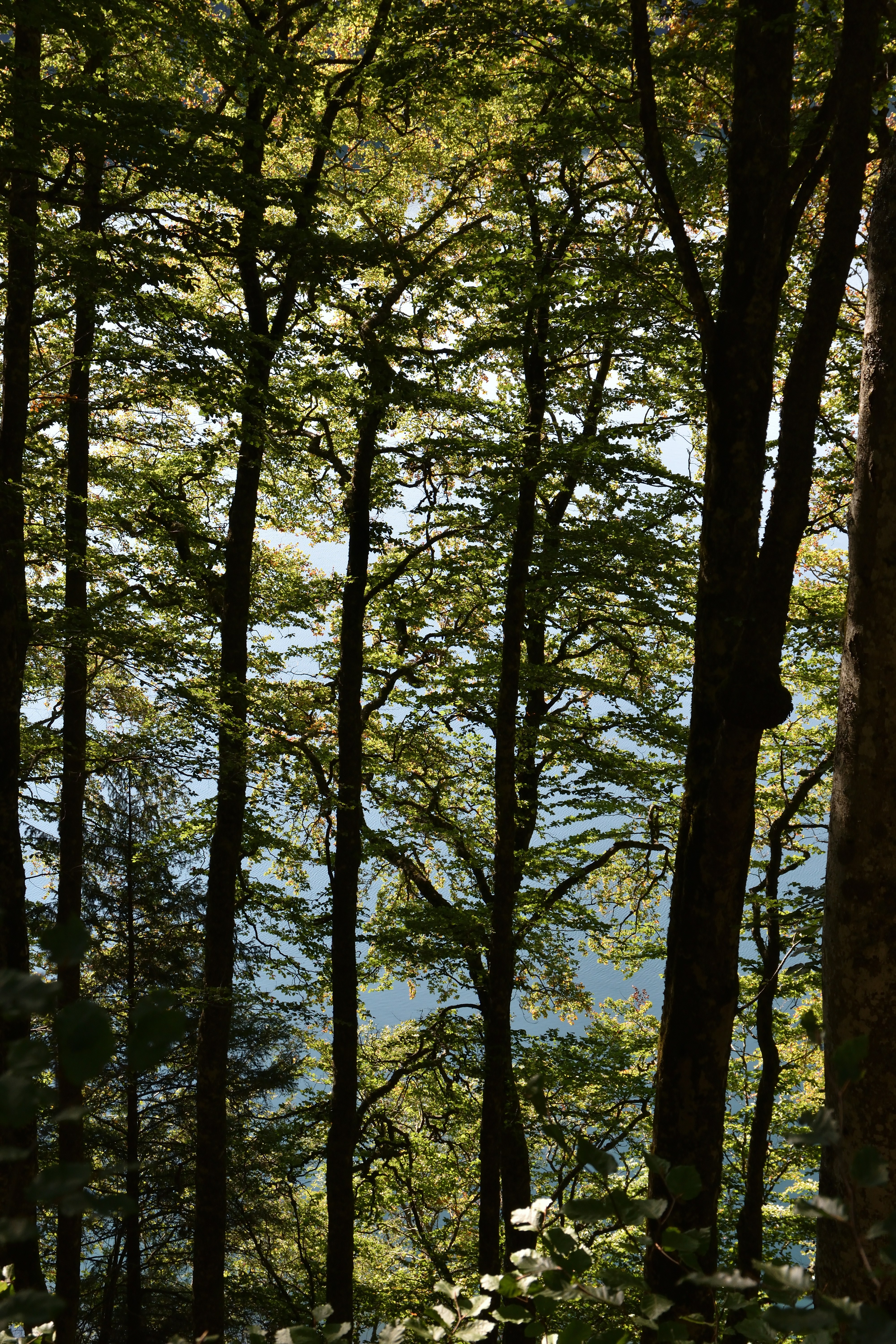 Photo by bertrand1212