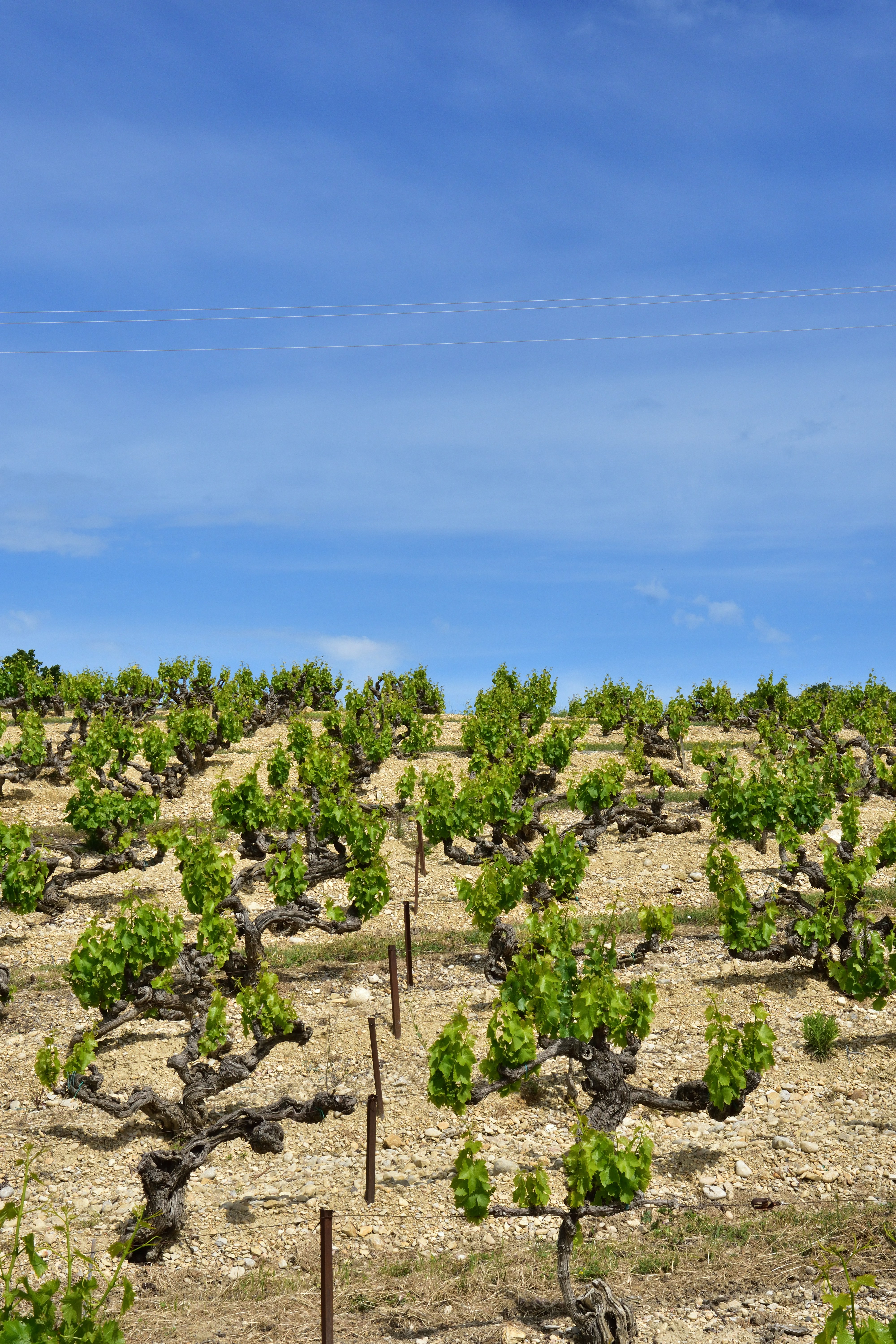 Photo by bertrand1212