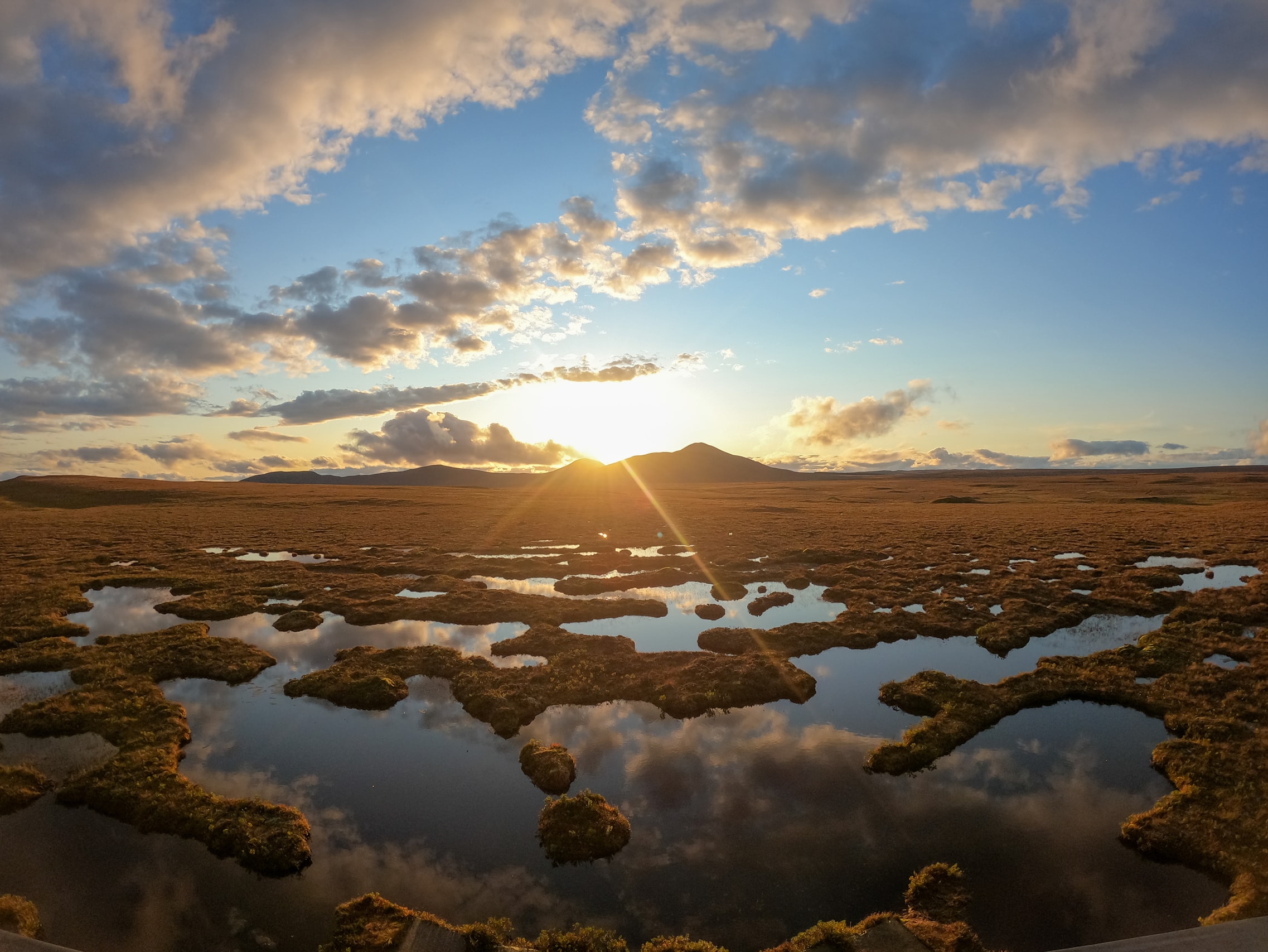 The Climate Profit Buried in Scotland’s Bog