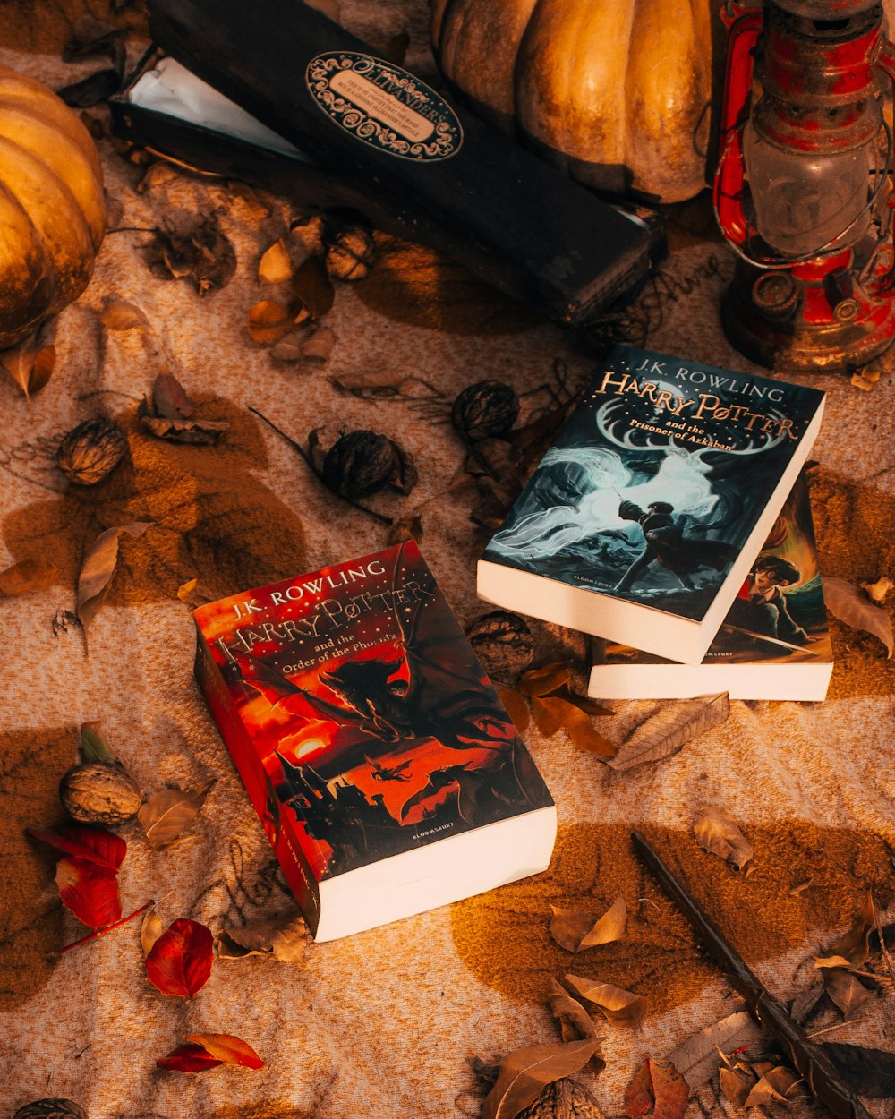 a couple of books sitting on top of a pile of leaves