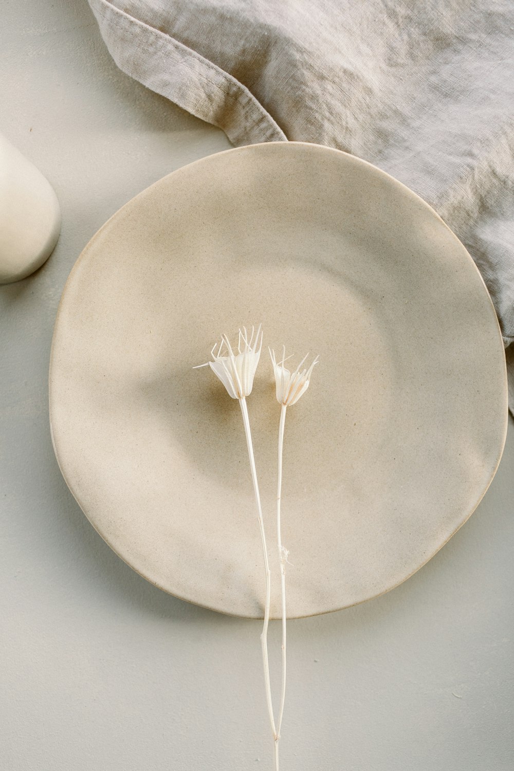 un plato blanco con dos flores blancas