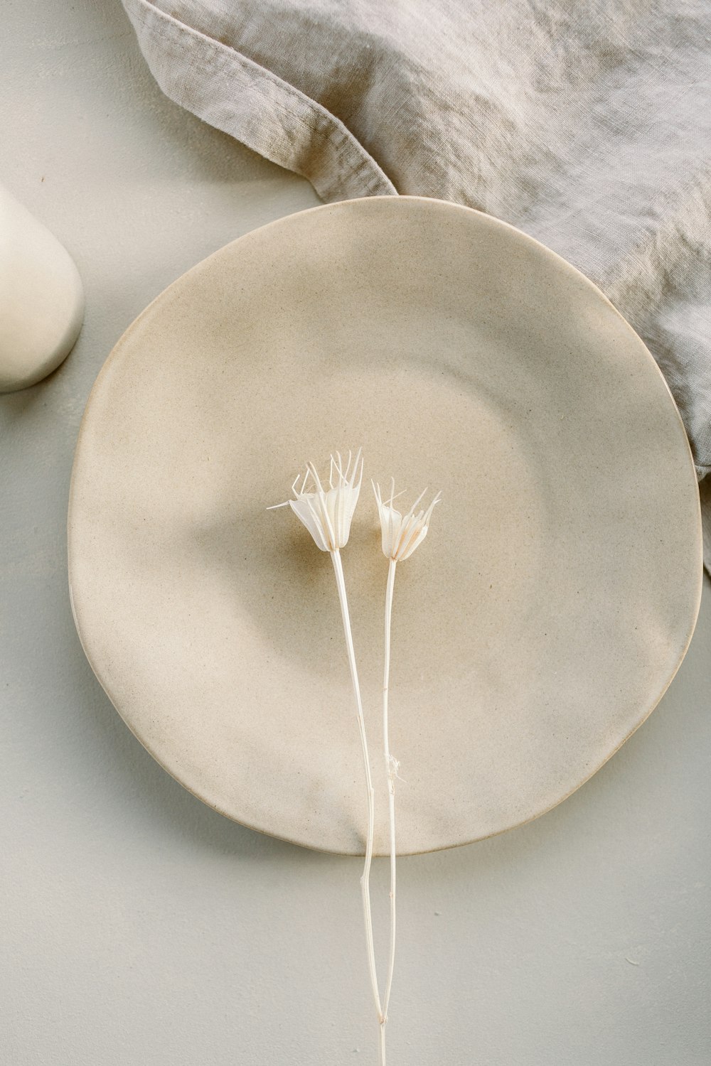 a white plate with two white flowers on it