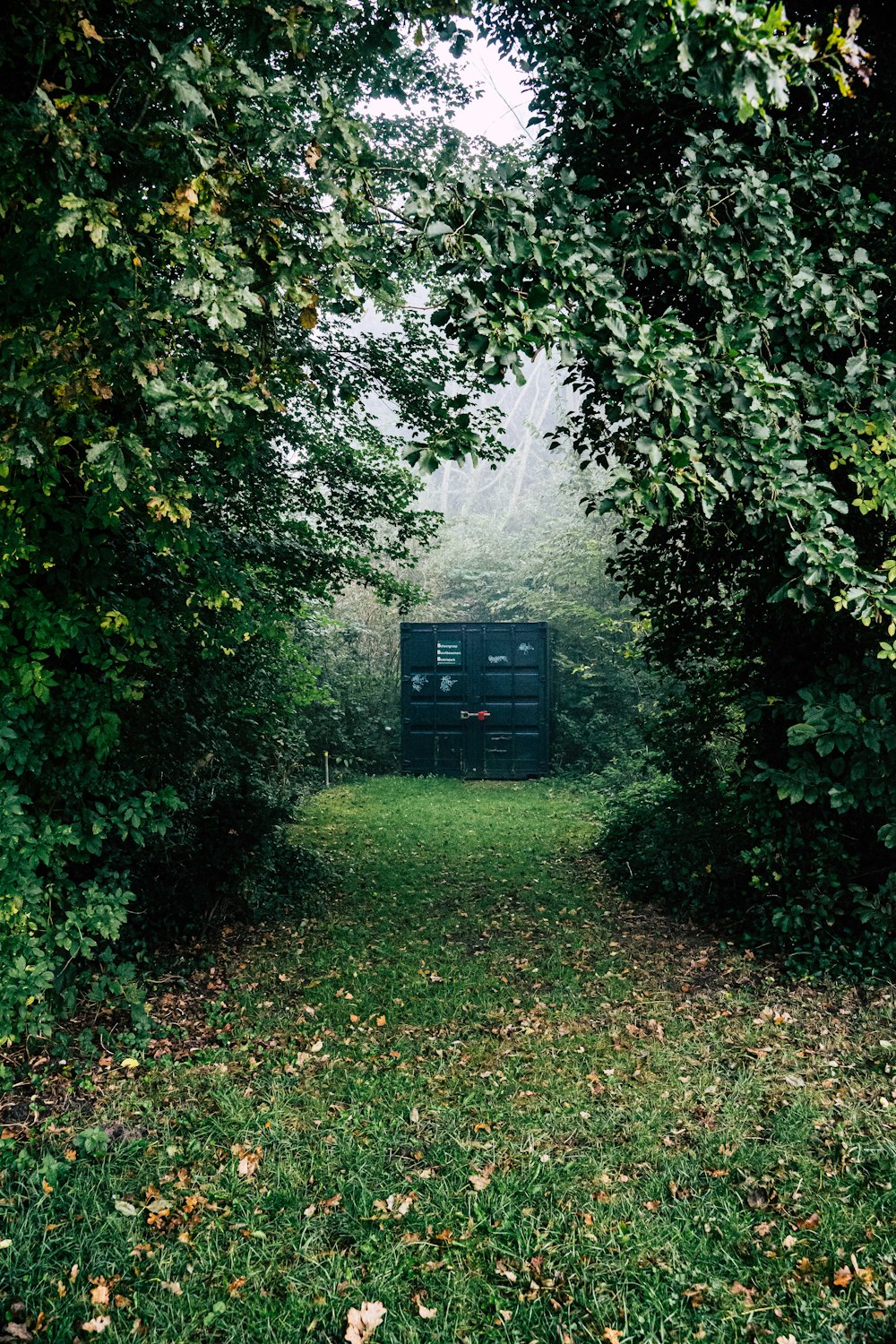 a truck that is sitting in the middle of some trees