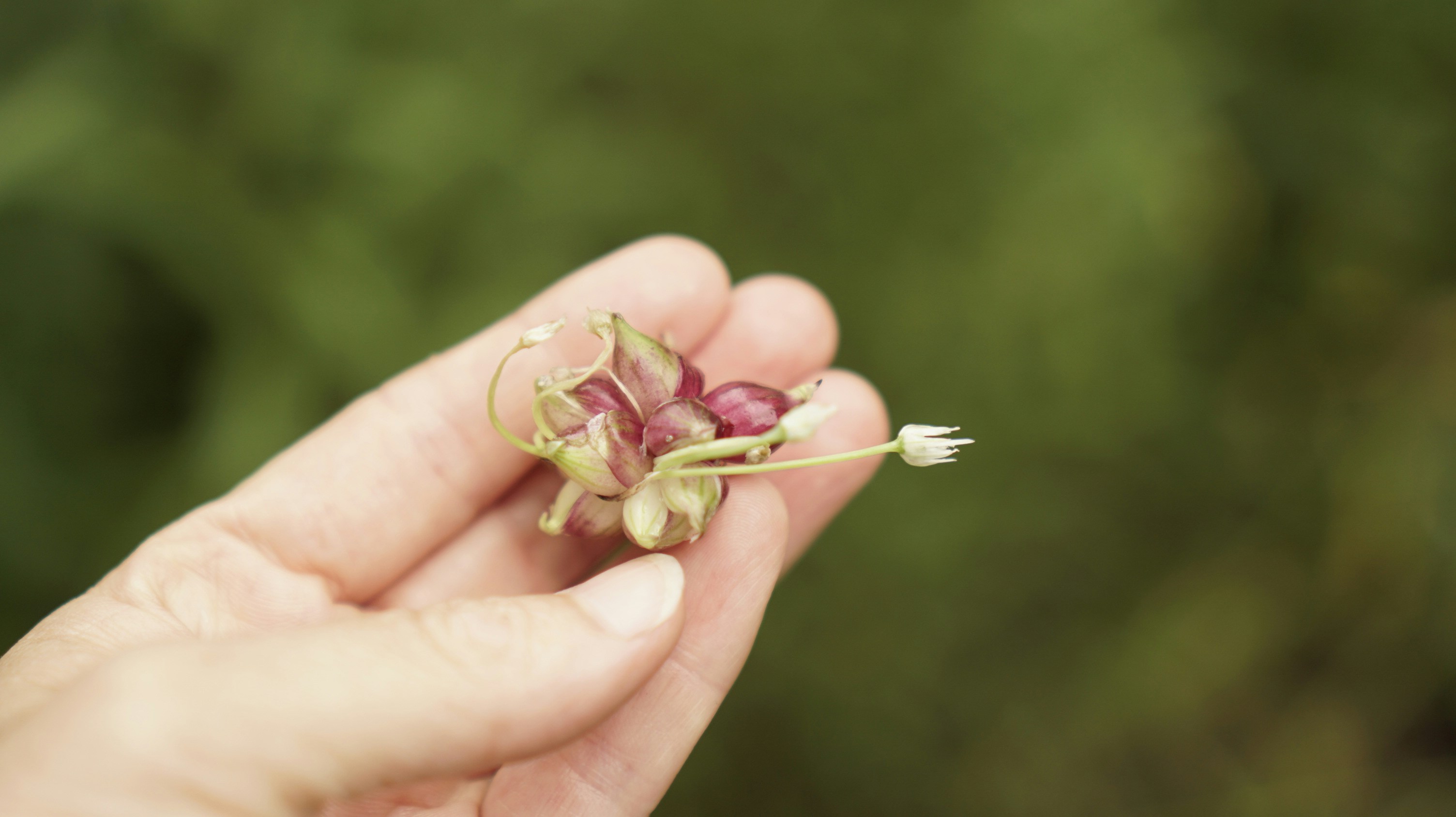 ¿Quieres una vida más feliz y plena?                                              Parte 1: Los superpoderes del bienestar