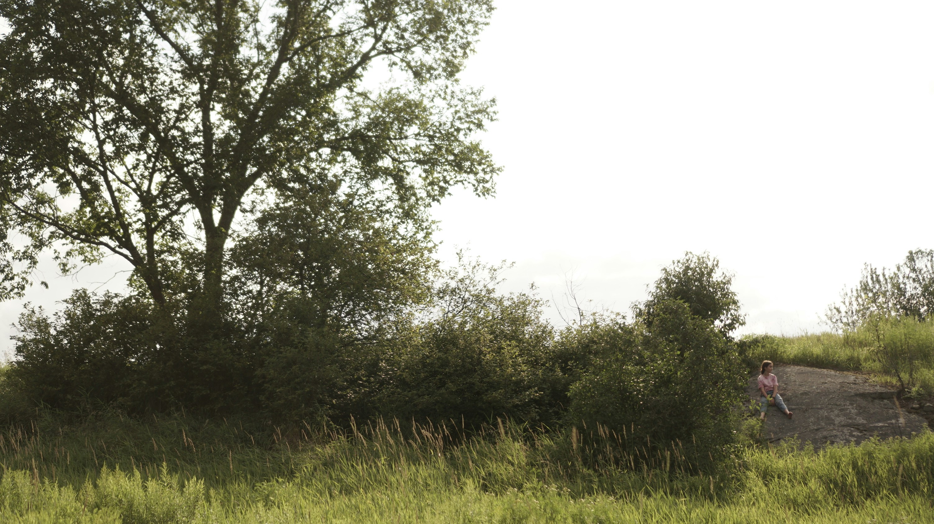 Photo by greenprophet