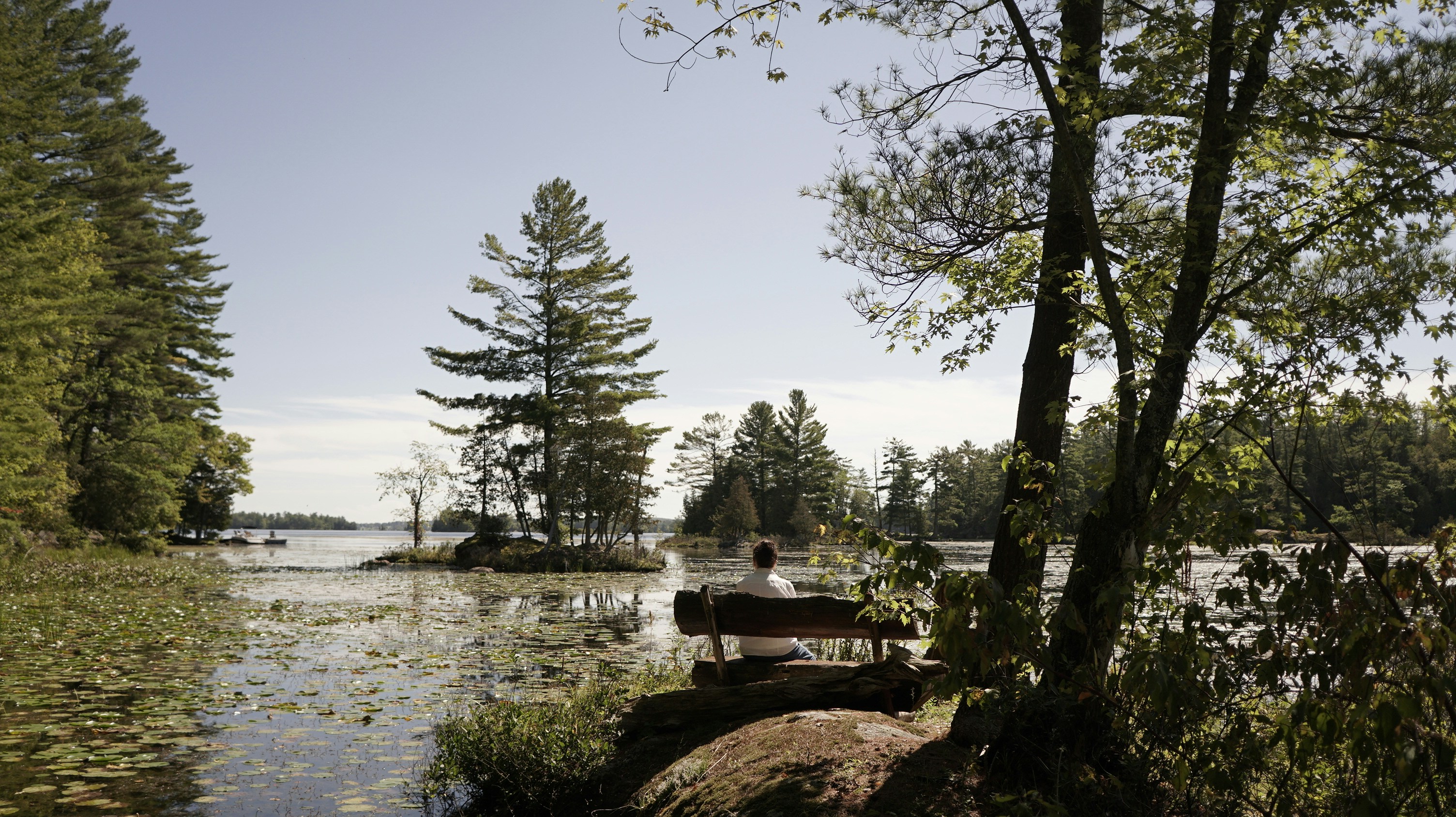 Photo by greenprophet