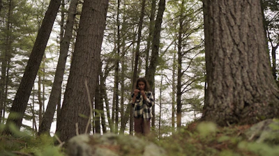 A forestry worker carefully inspecting tall pine trees in a dense forest.