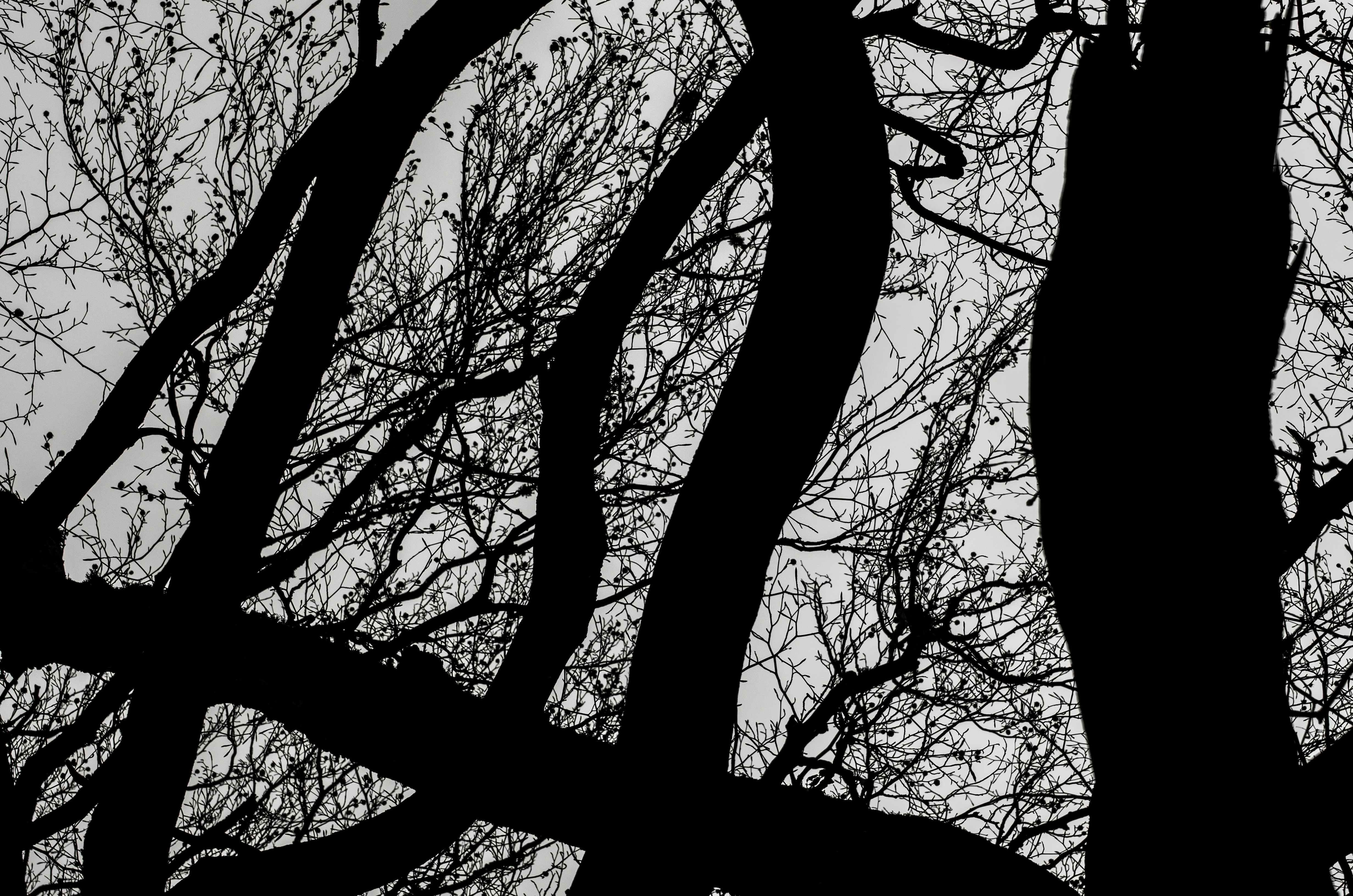 Photo by viktortalashuk