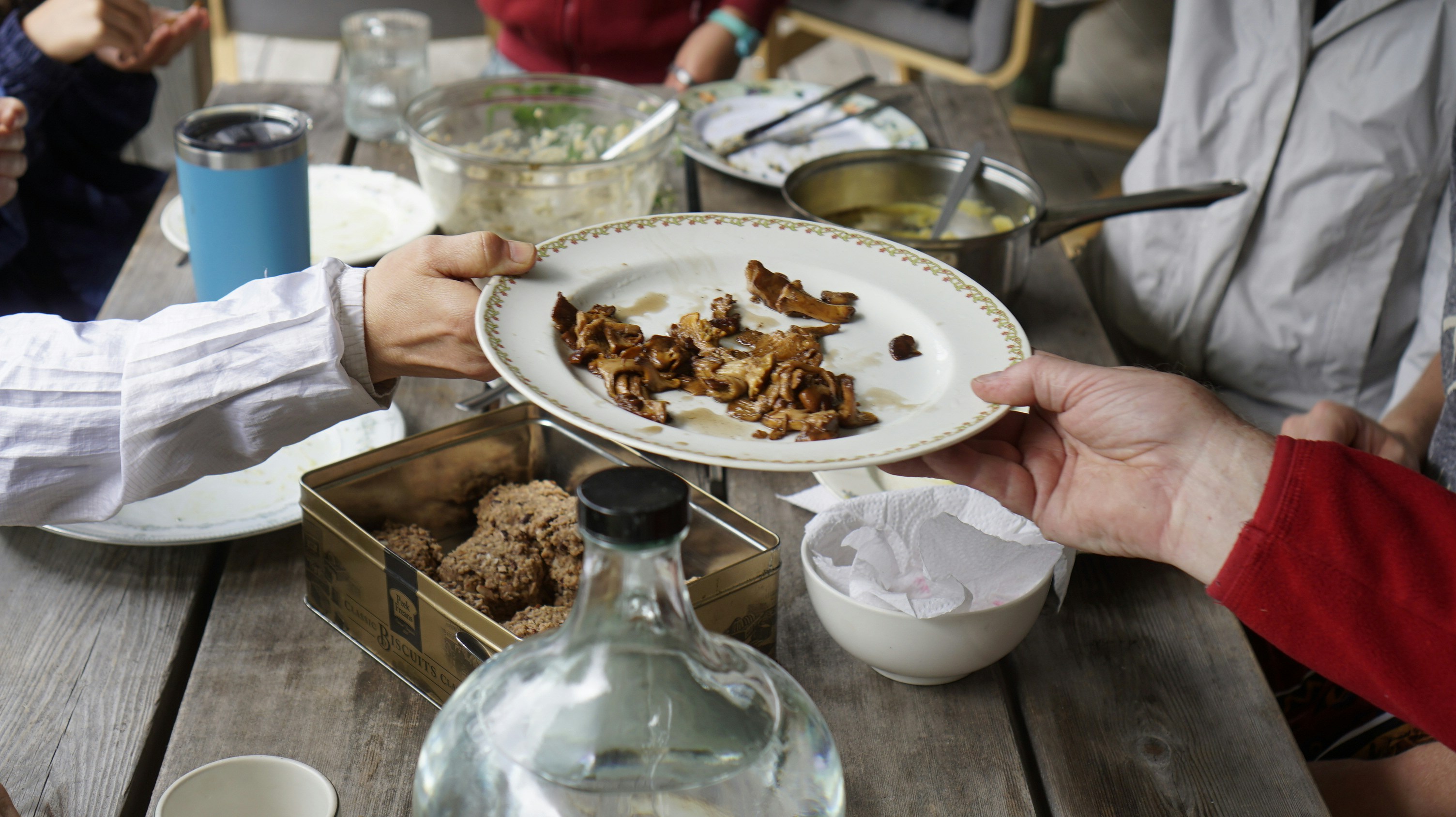 Photo by greenprophet