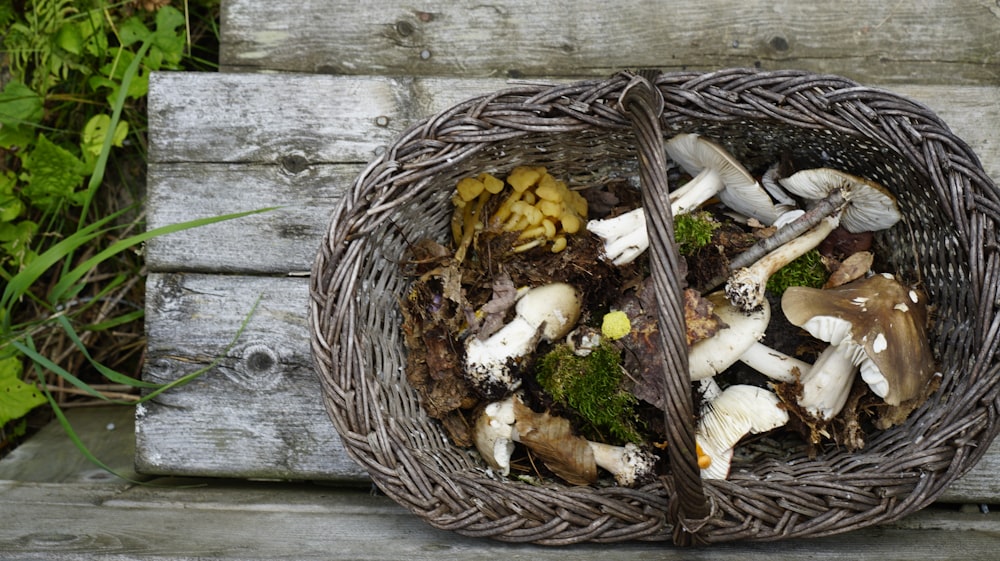 a basket filled with mushrooms sitting on top of a wooden bench