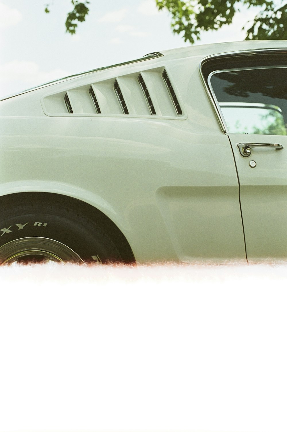 a white car parked in front of a tree