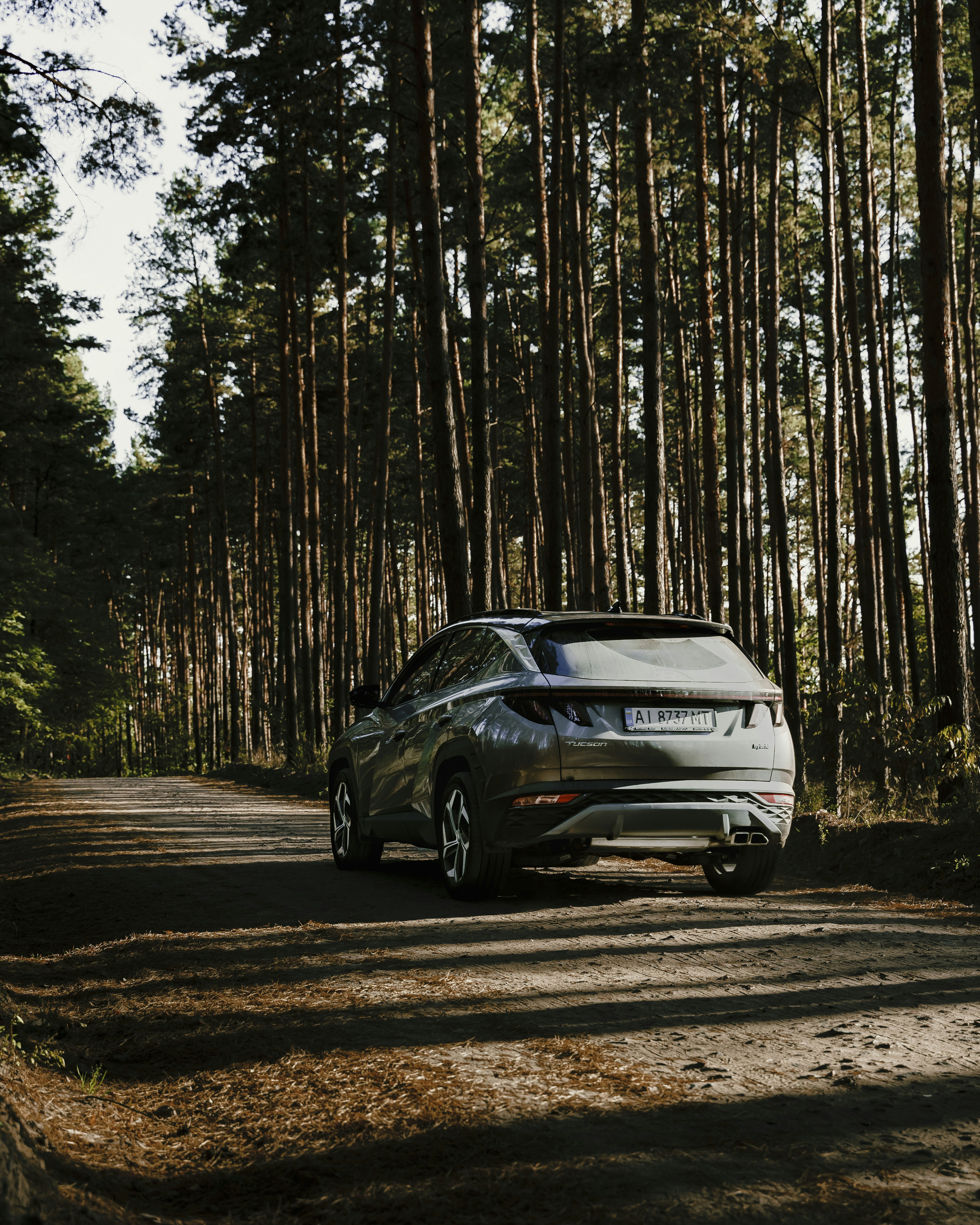 Photo by maksym_tymchyk