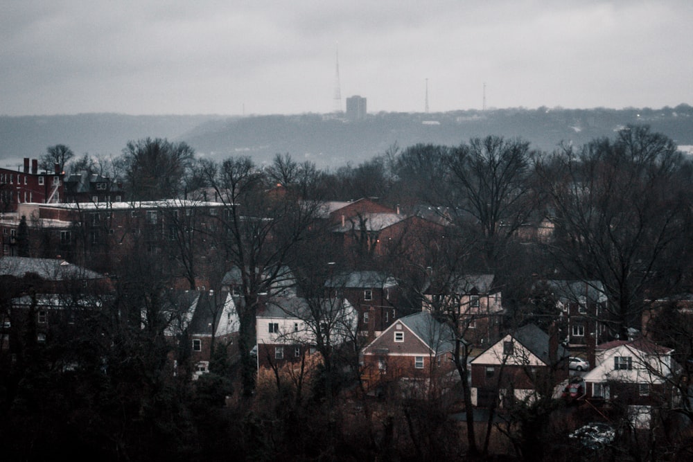 a view of a city from a distance