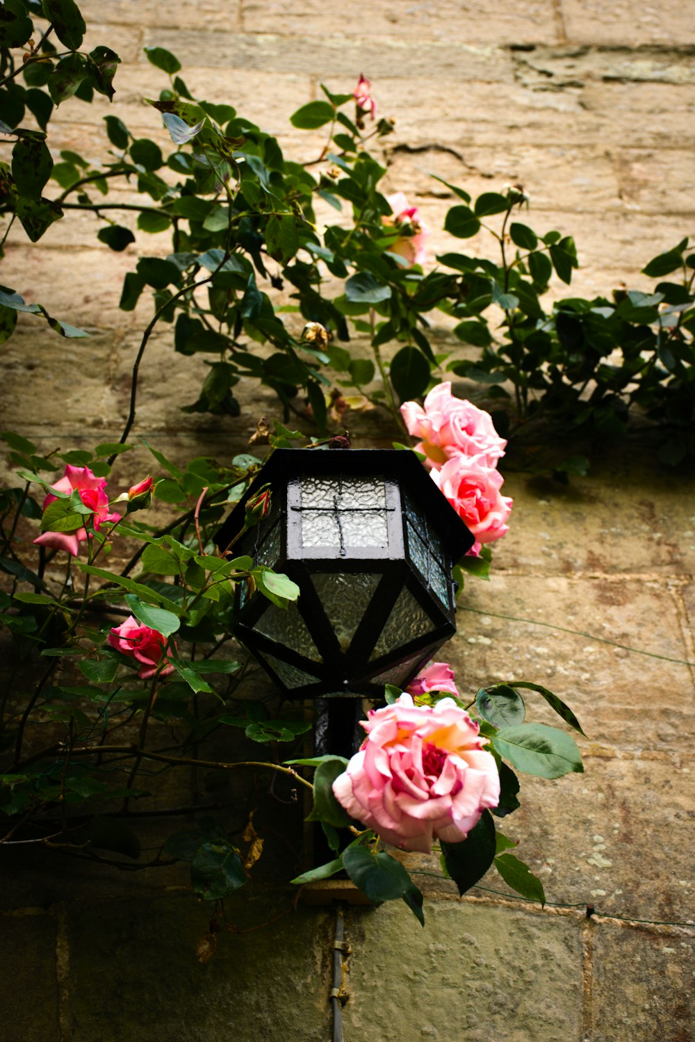 a black light surrounded by pink flowers on a brick wall