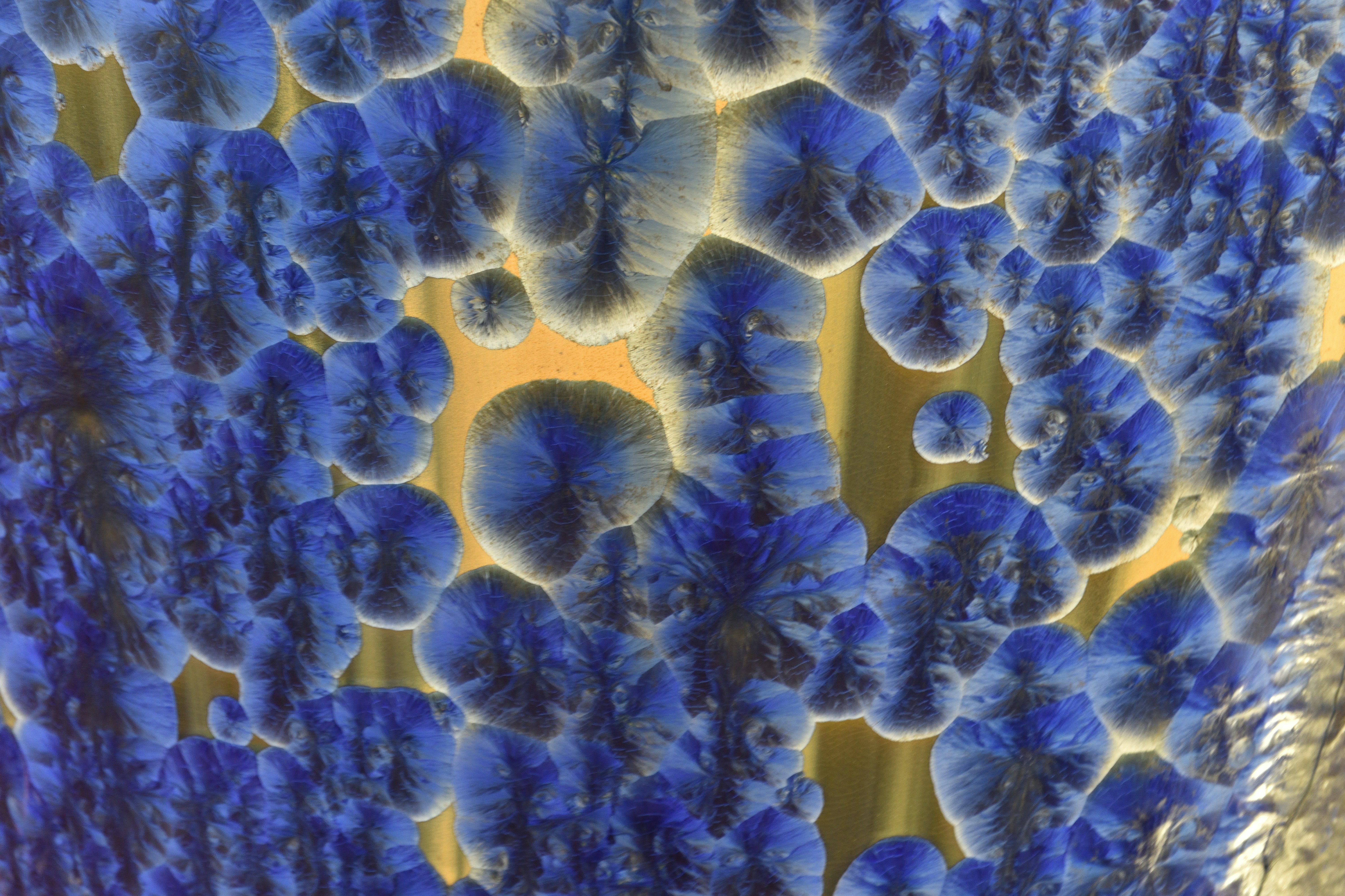 Photo by bertrand1212