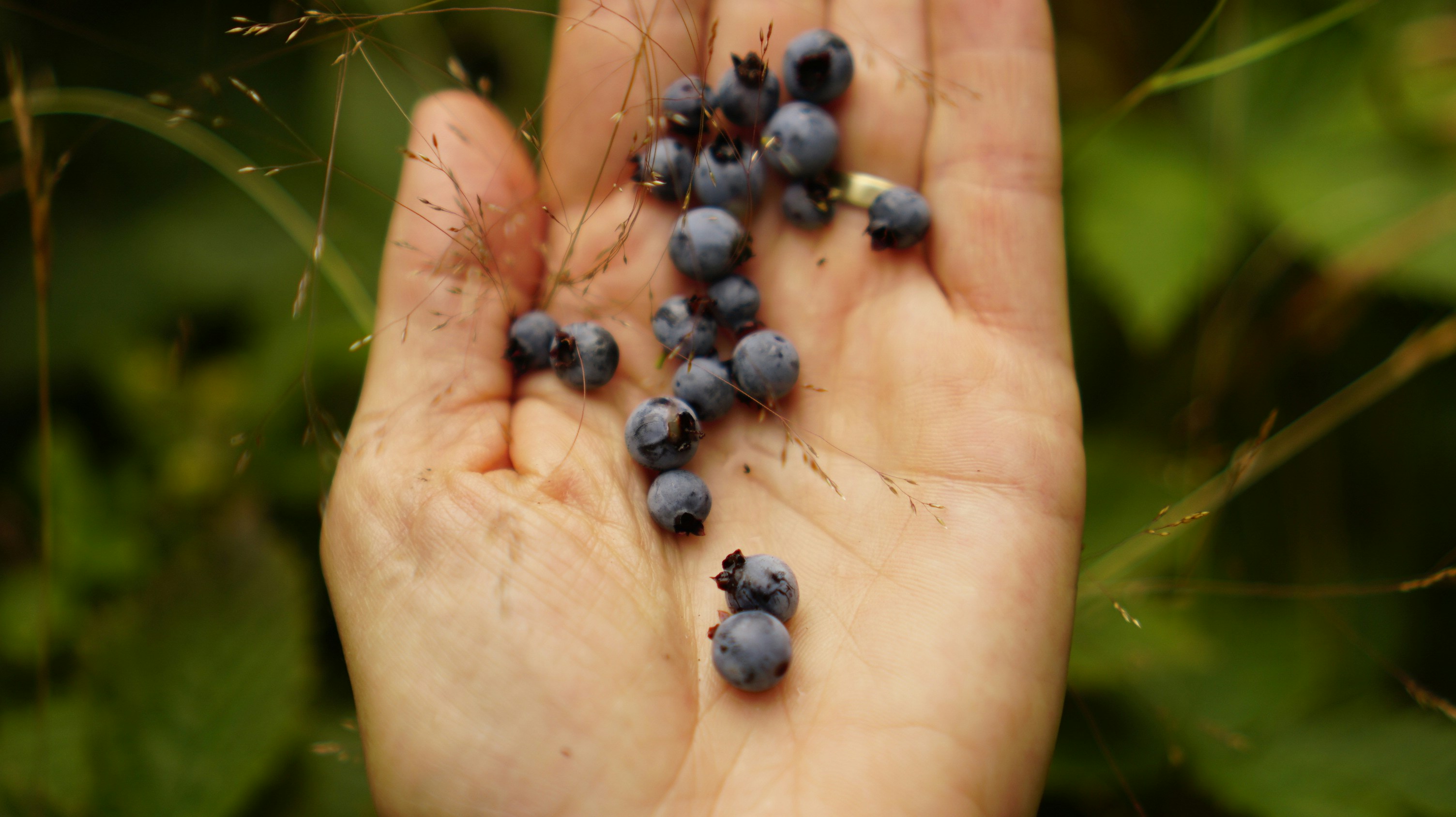 Photo by greenprophet