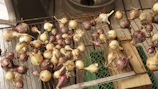 a bunch of garlic being cooked on a grill