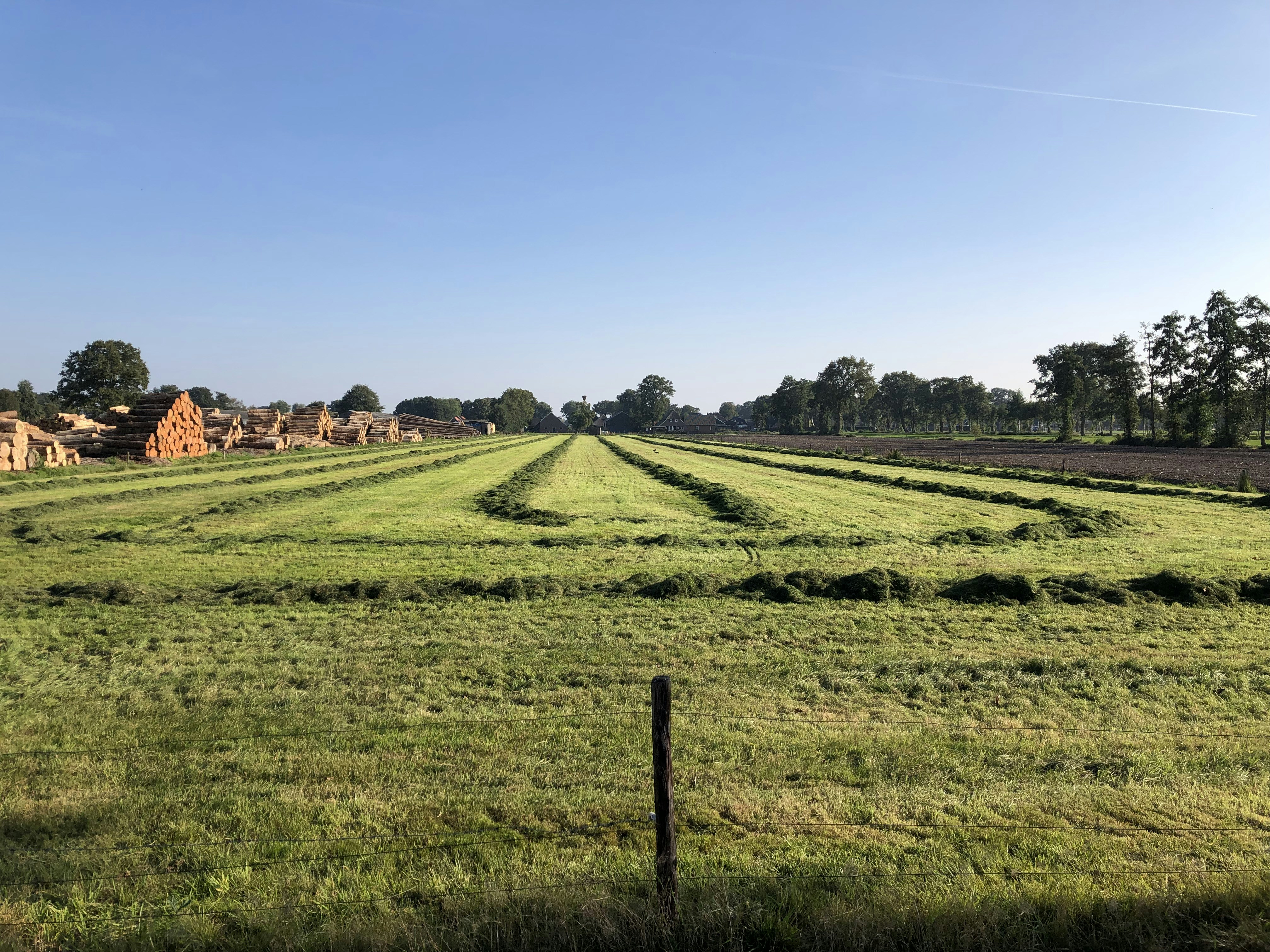 Afbeelding van Staphorst