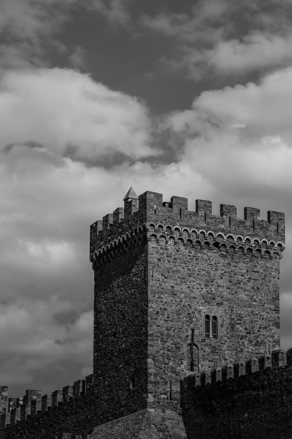 a black and white photo of a castle