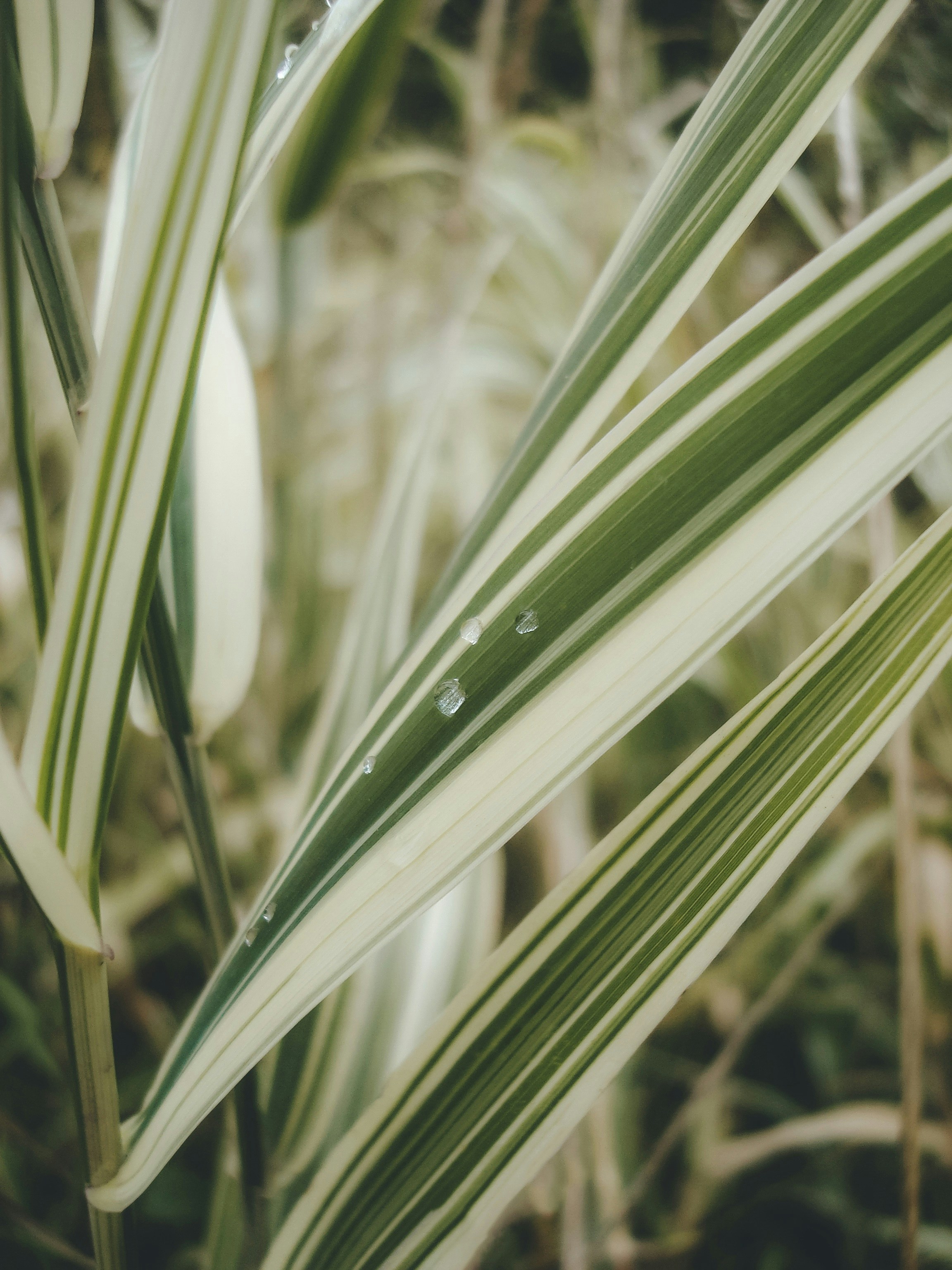 Photo by eugene_golovesov