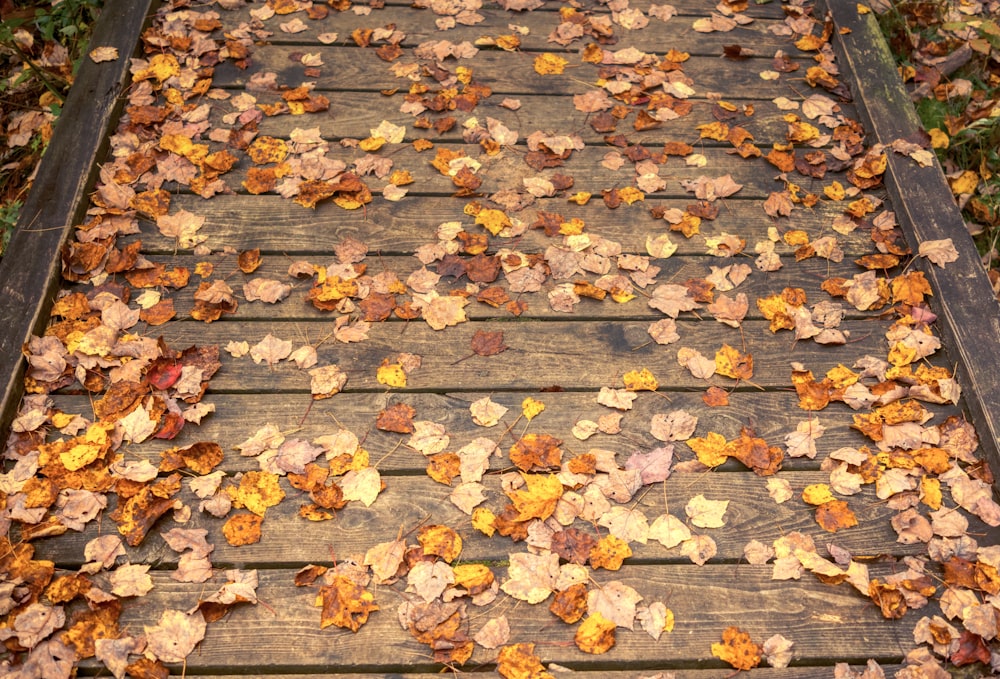 a wooden walkway covered in lots of leaves